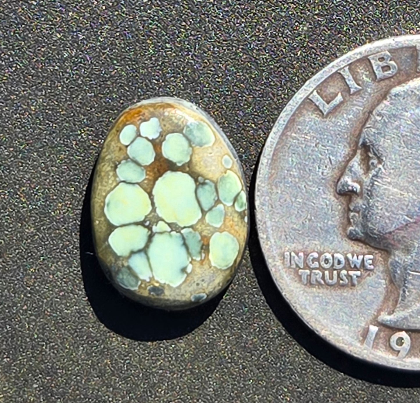 Turtleback Variscite Cabochon