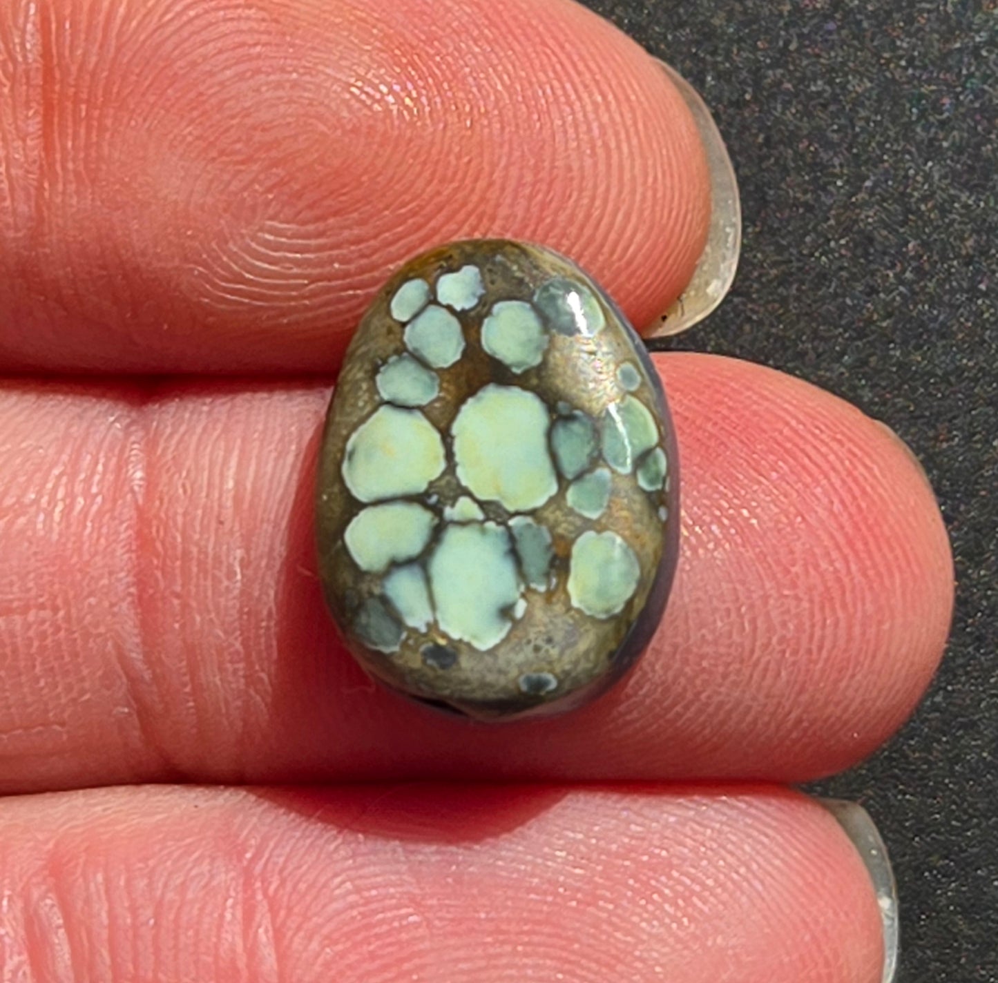 Turtleback Variscite Cabochon
