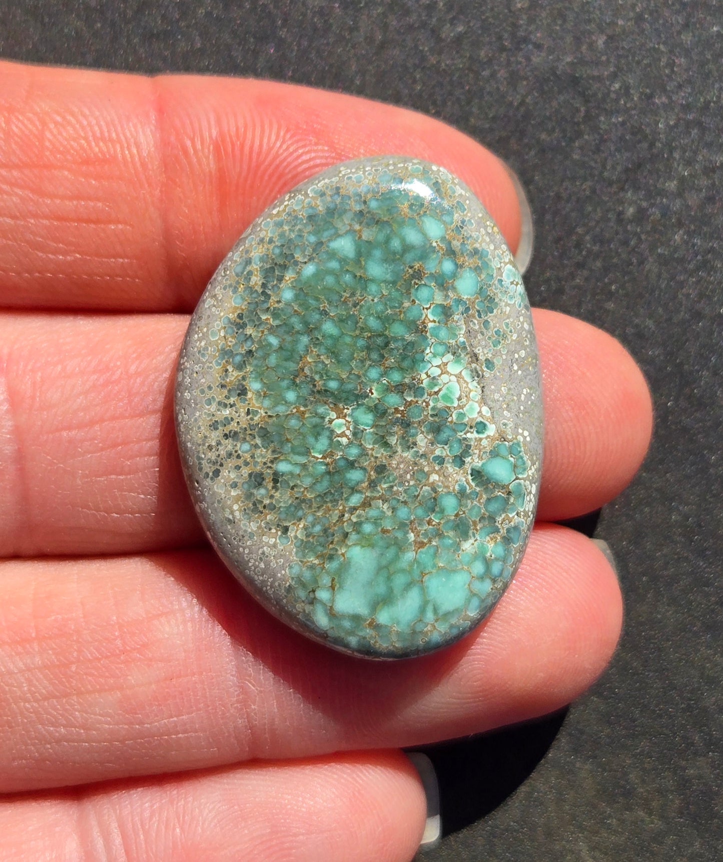 Turtleback Variscite Cabochon