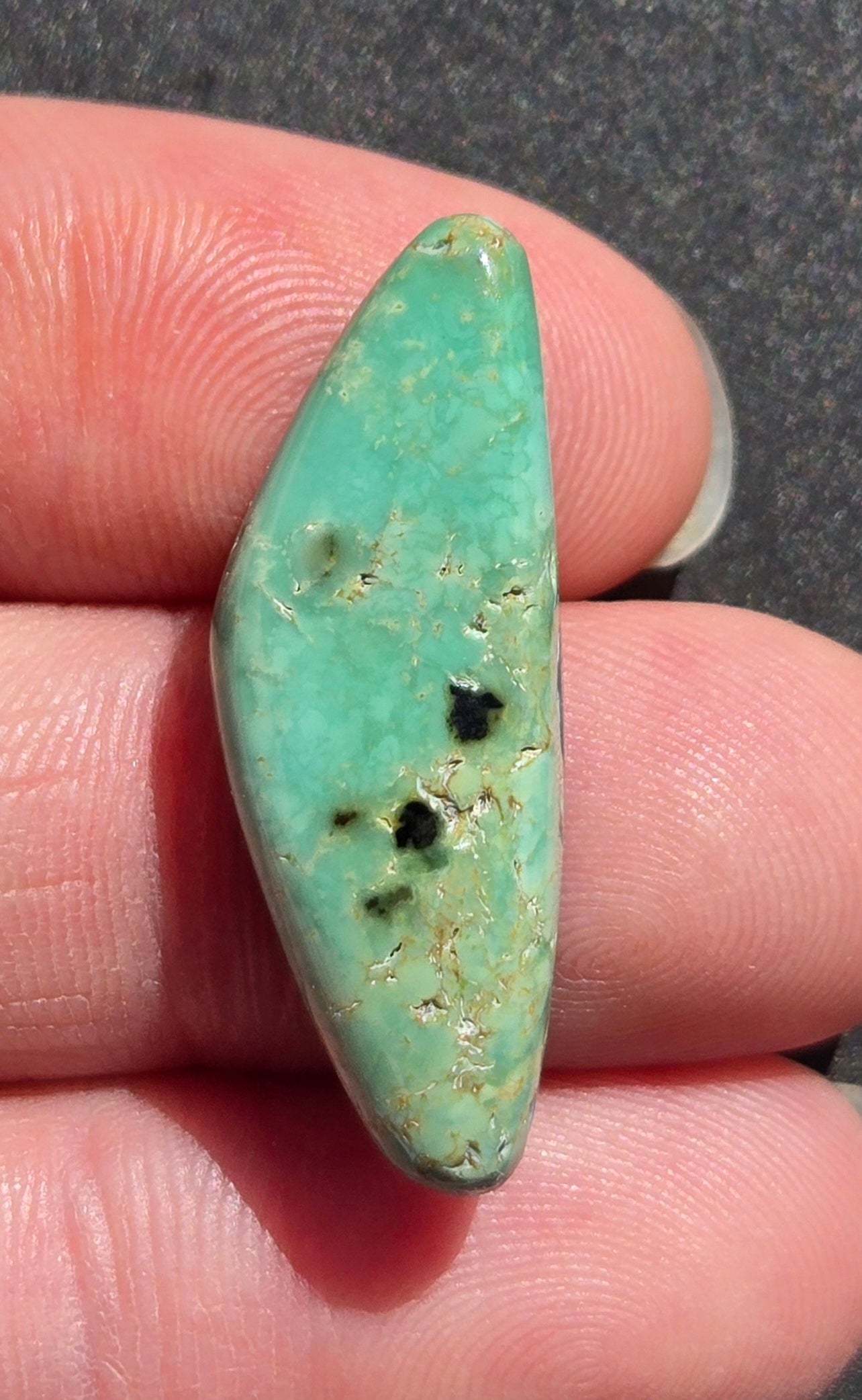 Prince Mine Variscite Cabochon