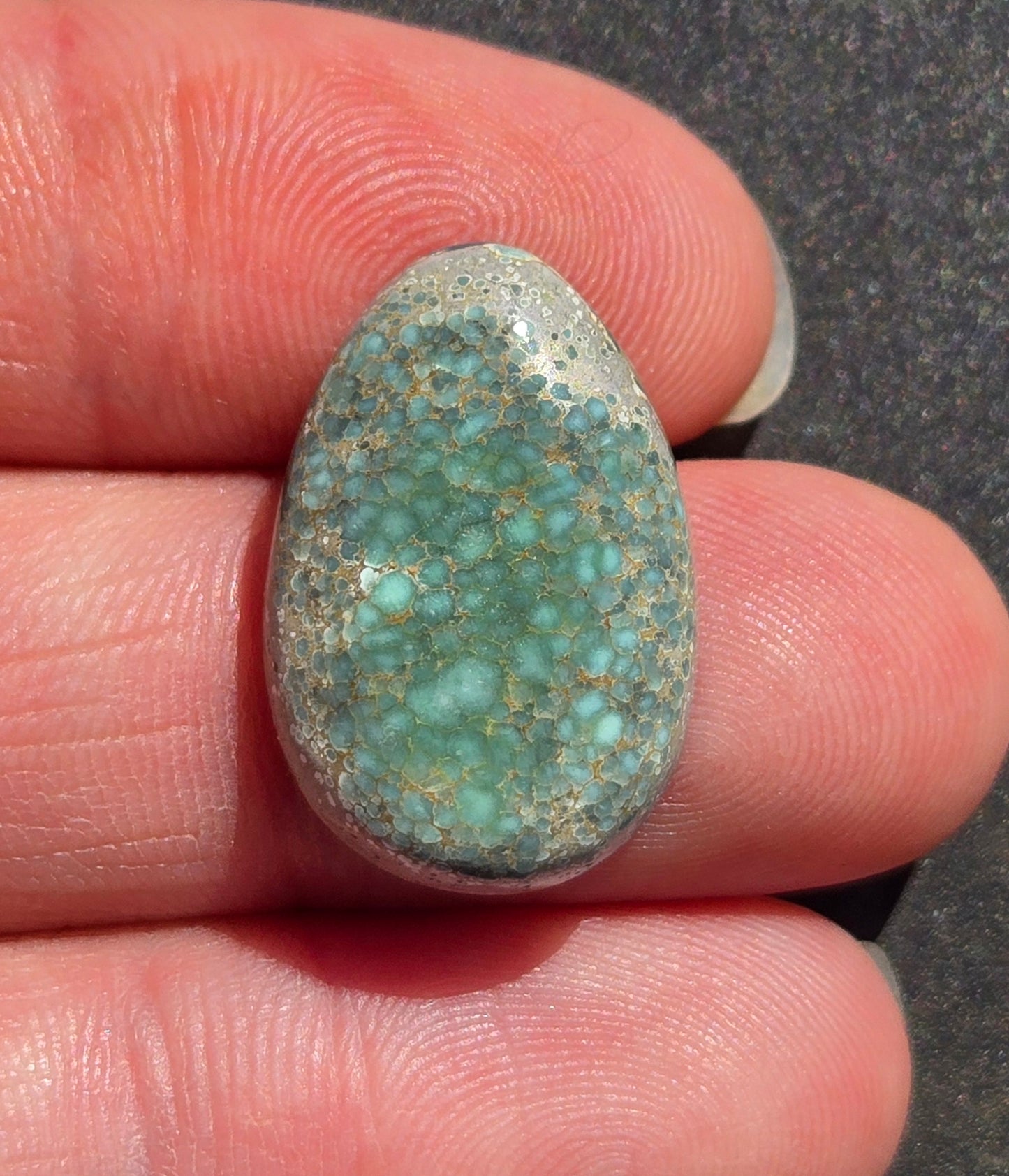 Turtleback Variscite Cabochon