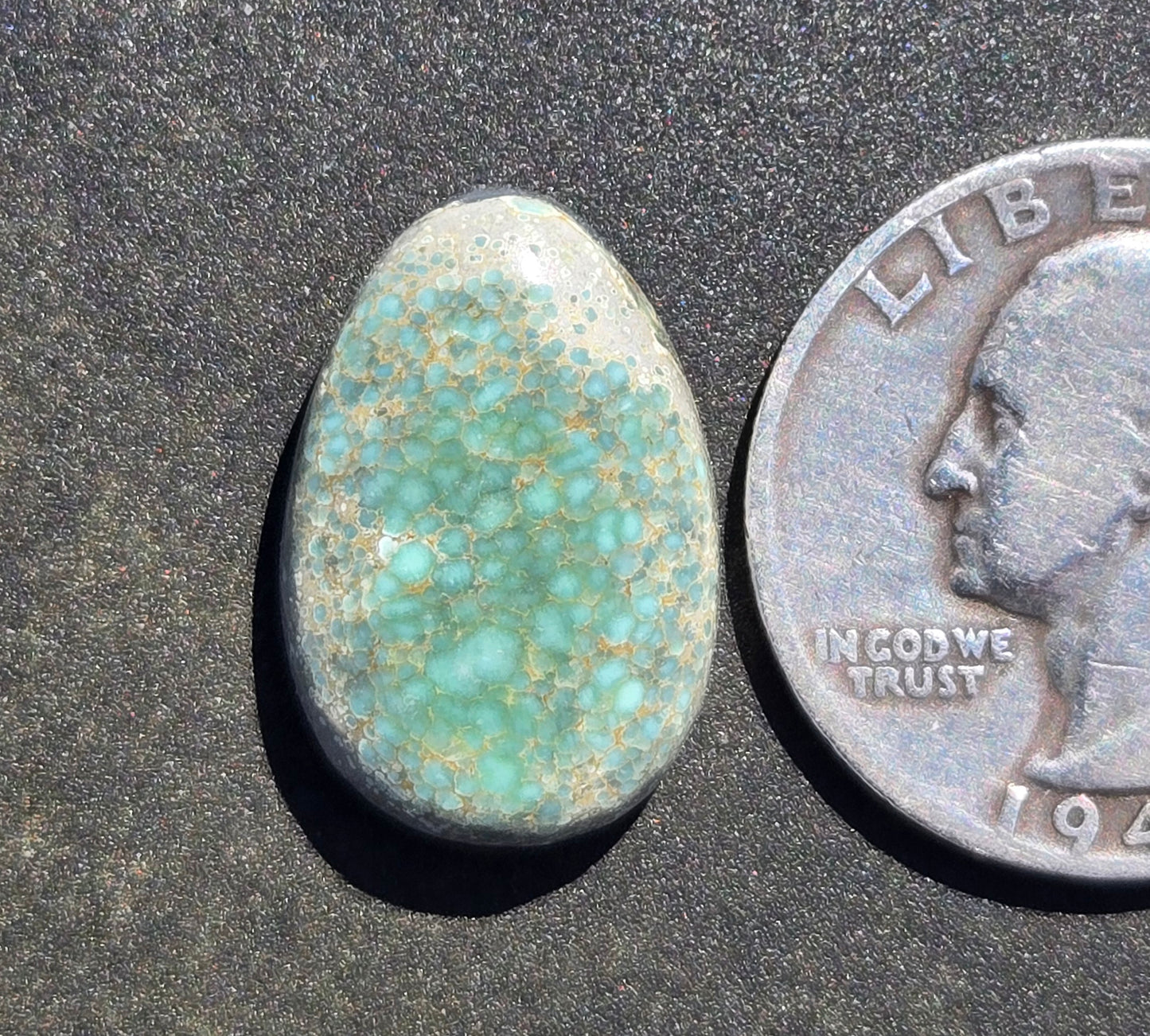 Turtleback Variscite Cabochon