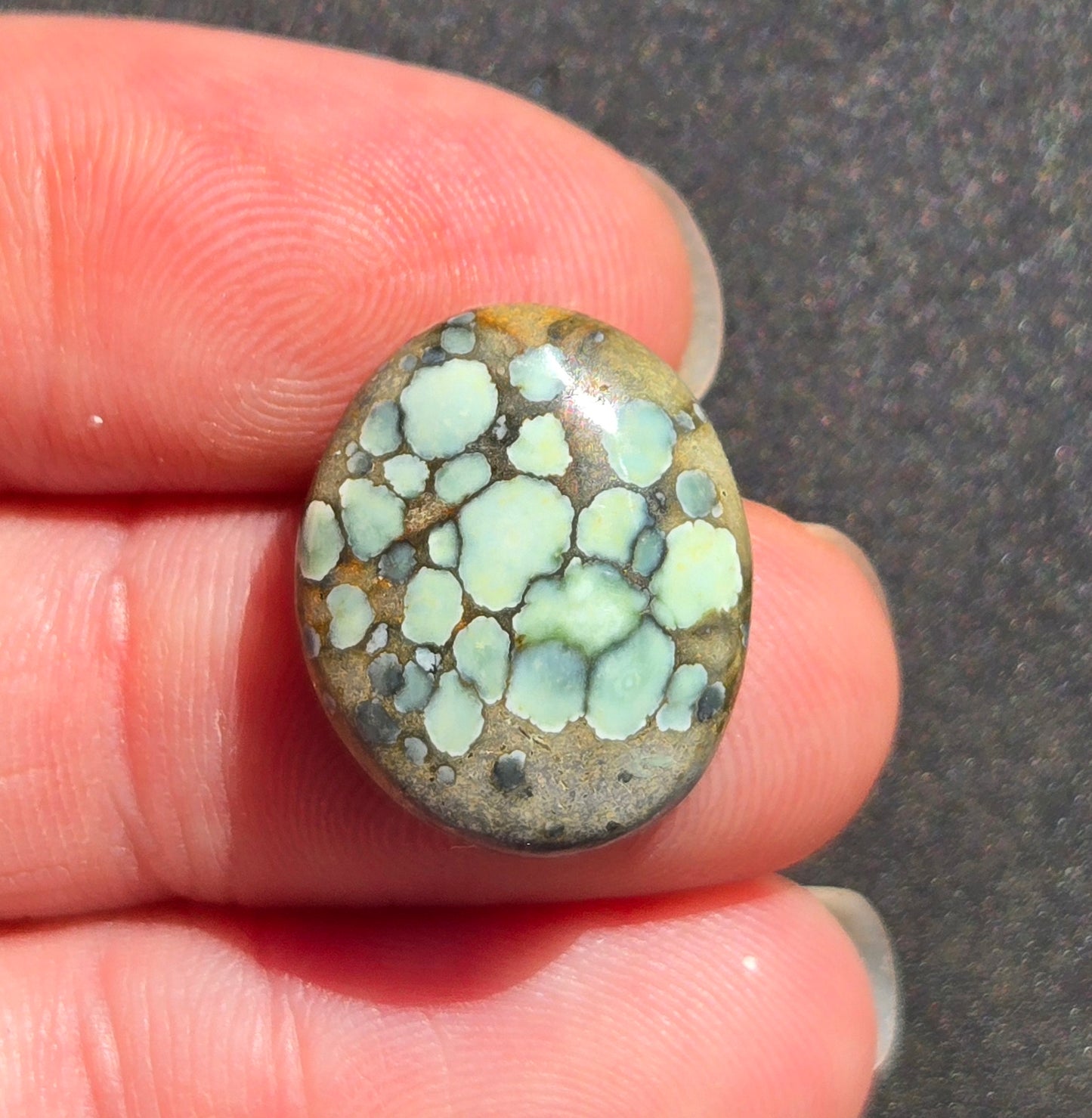 Turtleback Variscite Cabochon