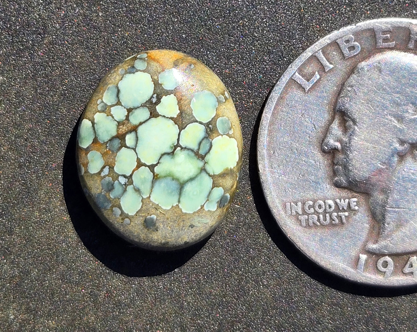 Turtleback Variscite Cabochon