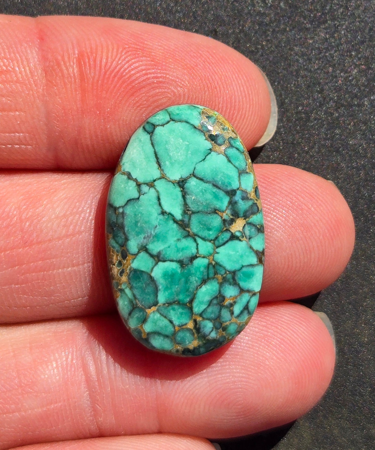 Turtleback Variscite Cabochon
