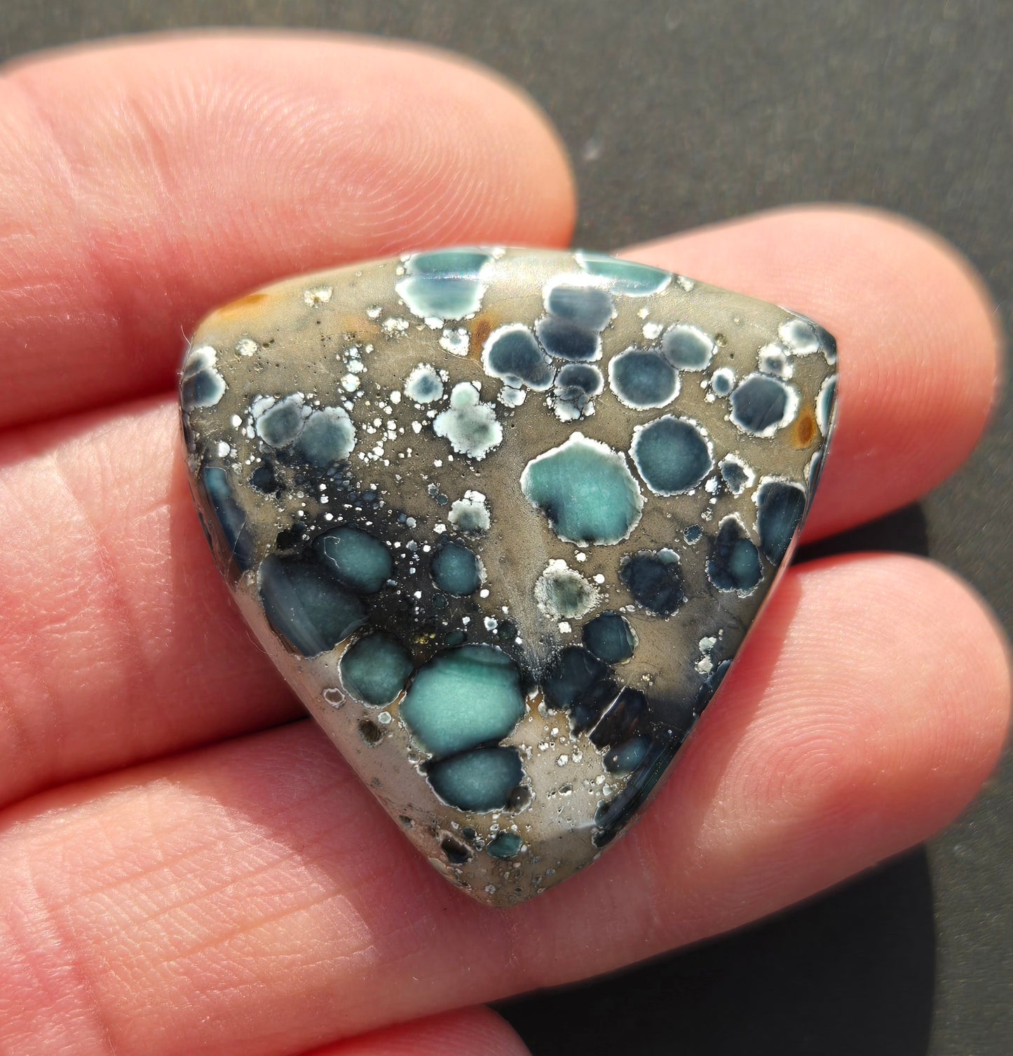 Antelope Hill Variscite Cabochon
