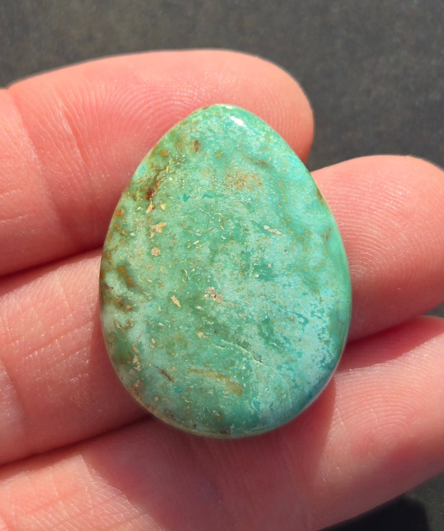 Campitos Turquoise Cabochon