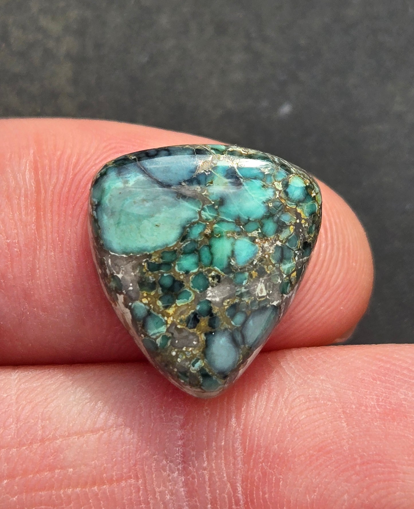 Desert Bloom Variscite Cabochon