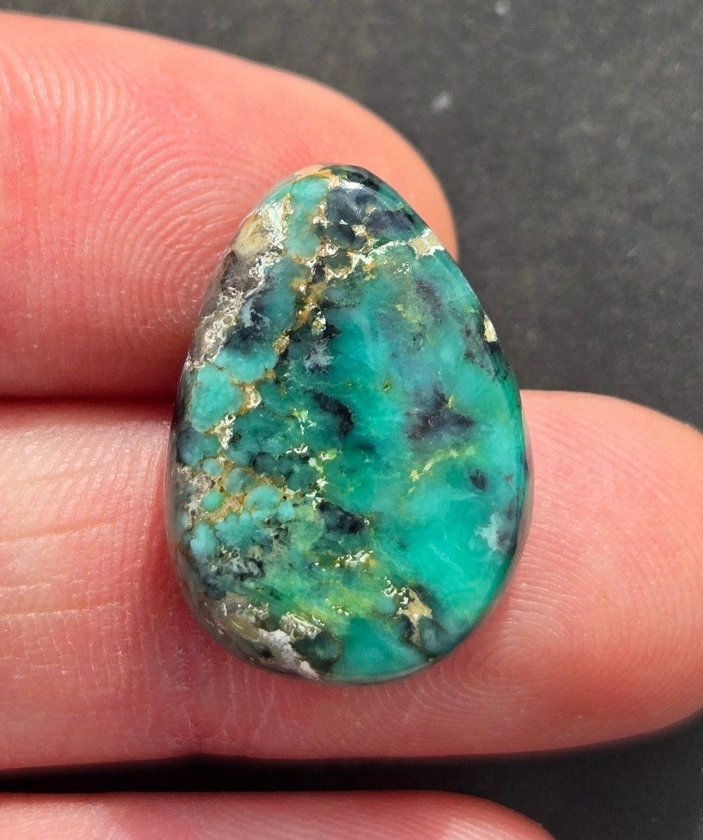 C&T Mine Variscite Cabochon
