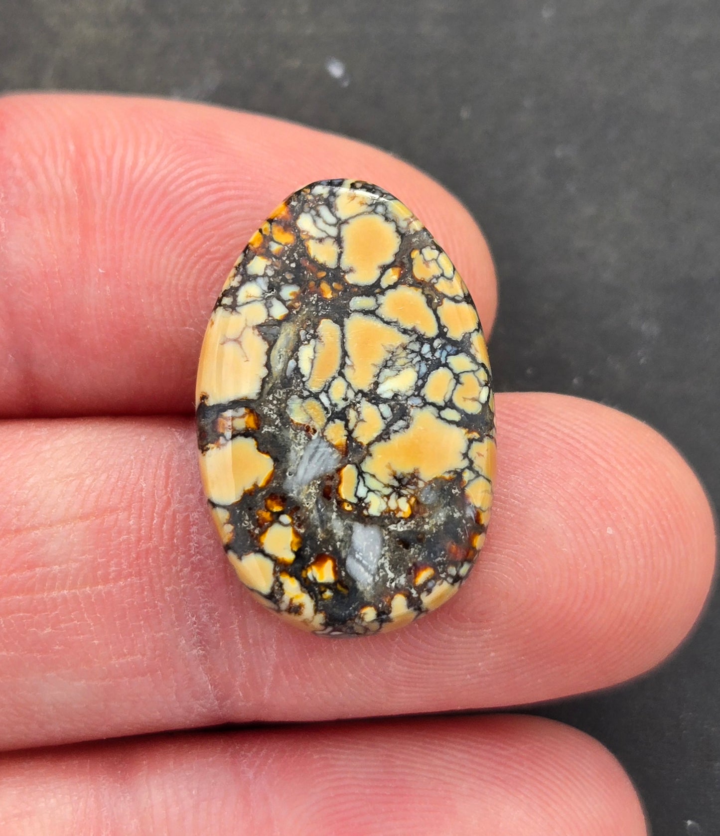 Aloe Variscite Cabochon