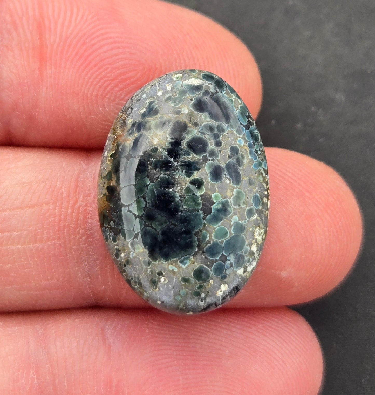 Turtleback Variscite Cabochon