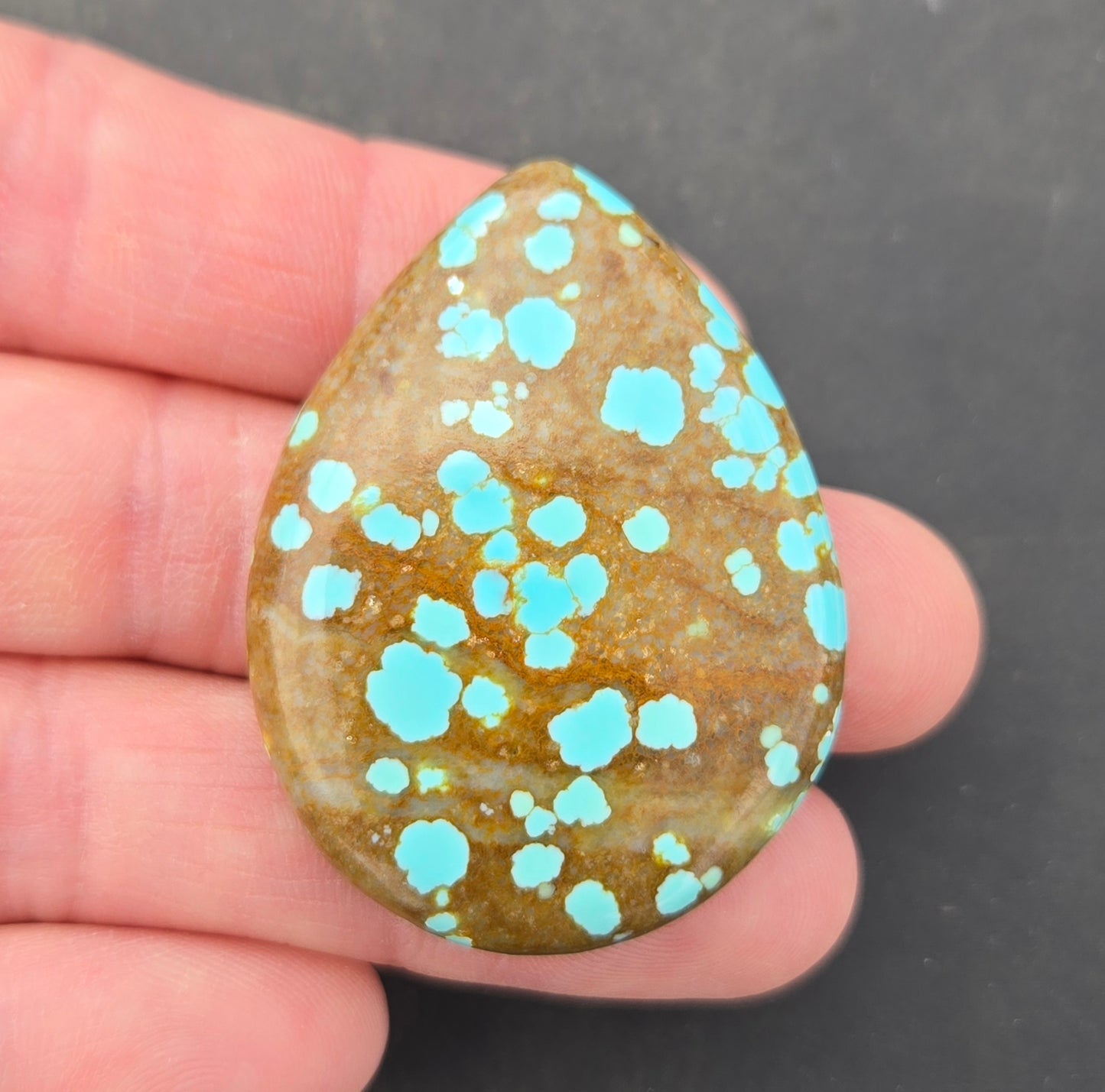 Number 8 Mine Turquoise Cabochon