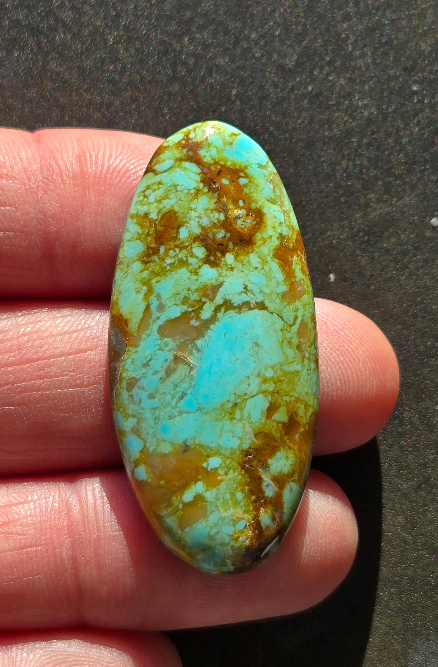 Patagonia Turquoise Cabochon