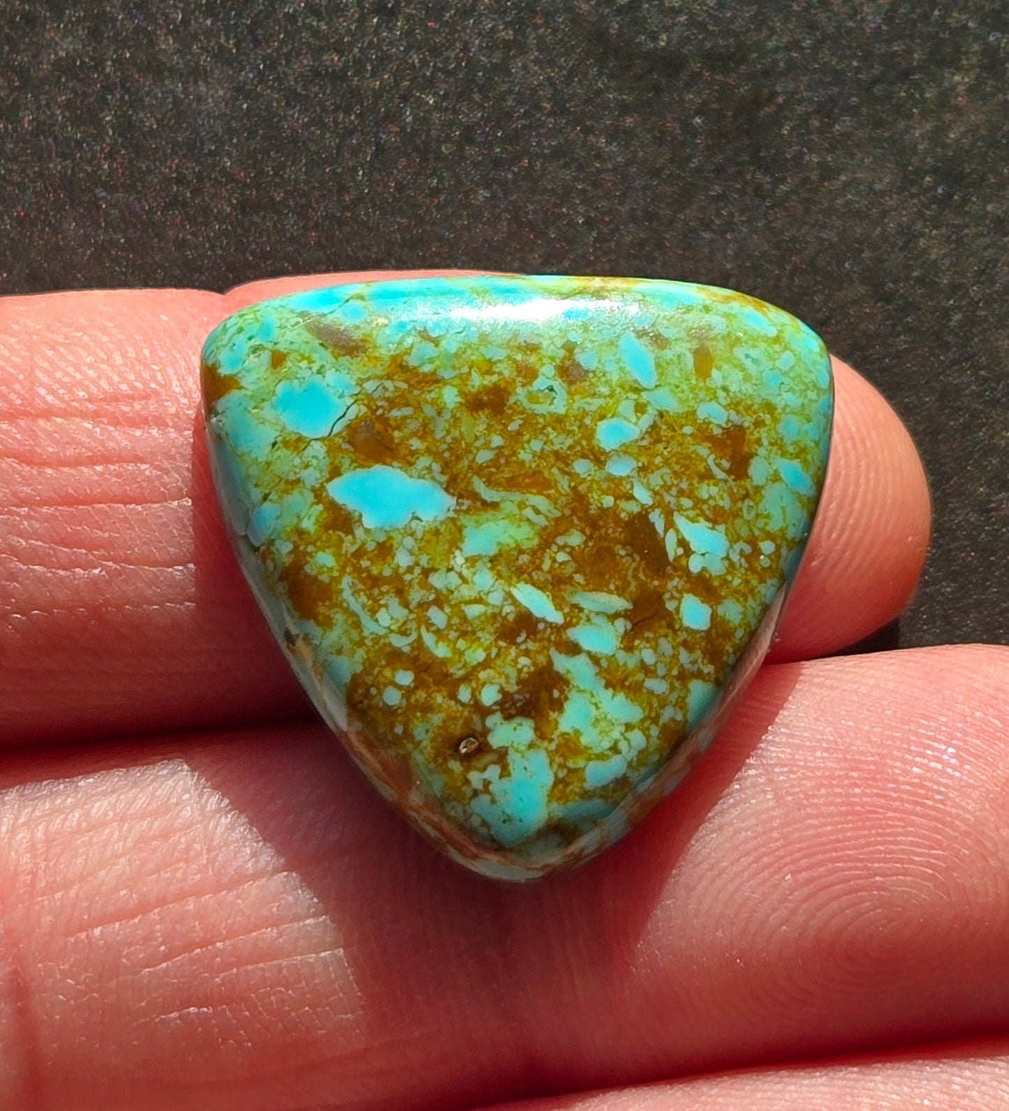 Patagonia Turquoise Cabochon