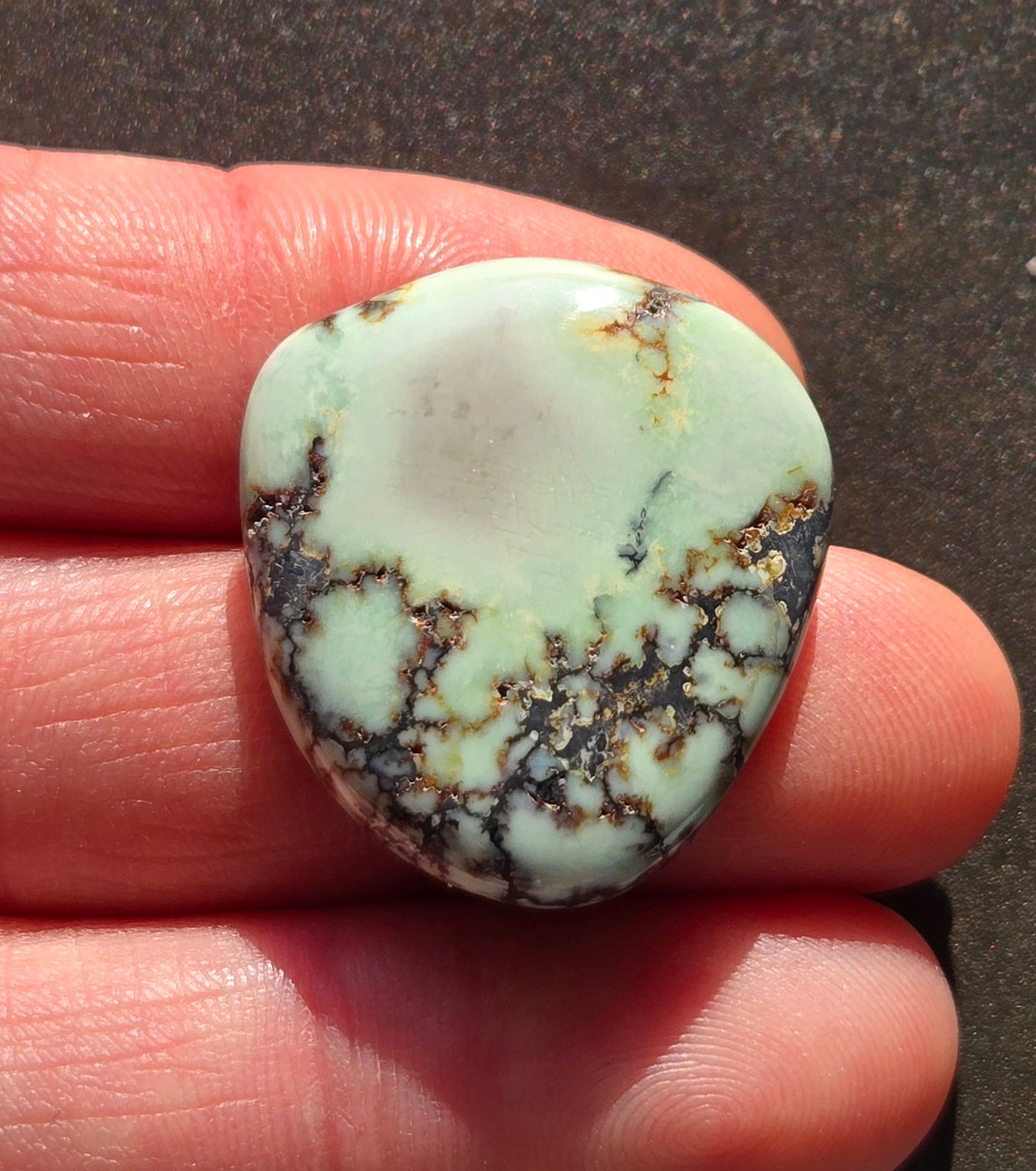 Saguaro Variscite Cabochon
