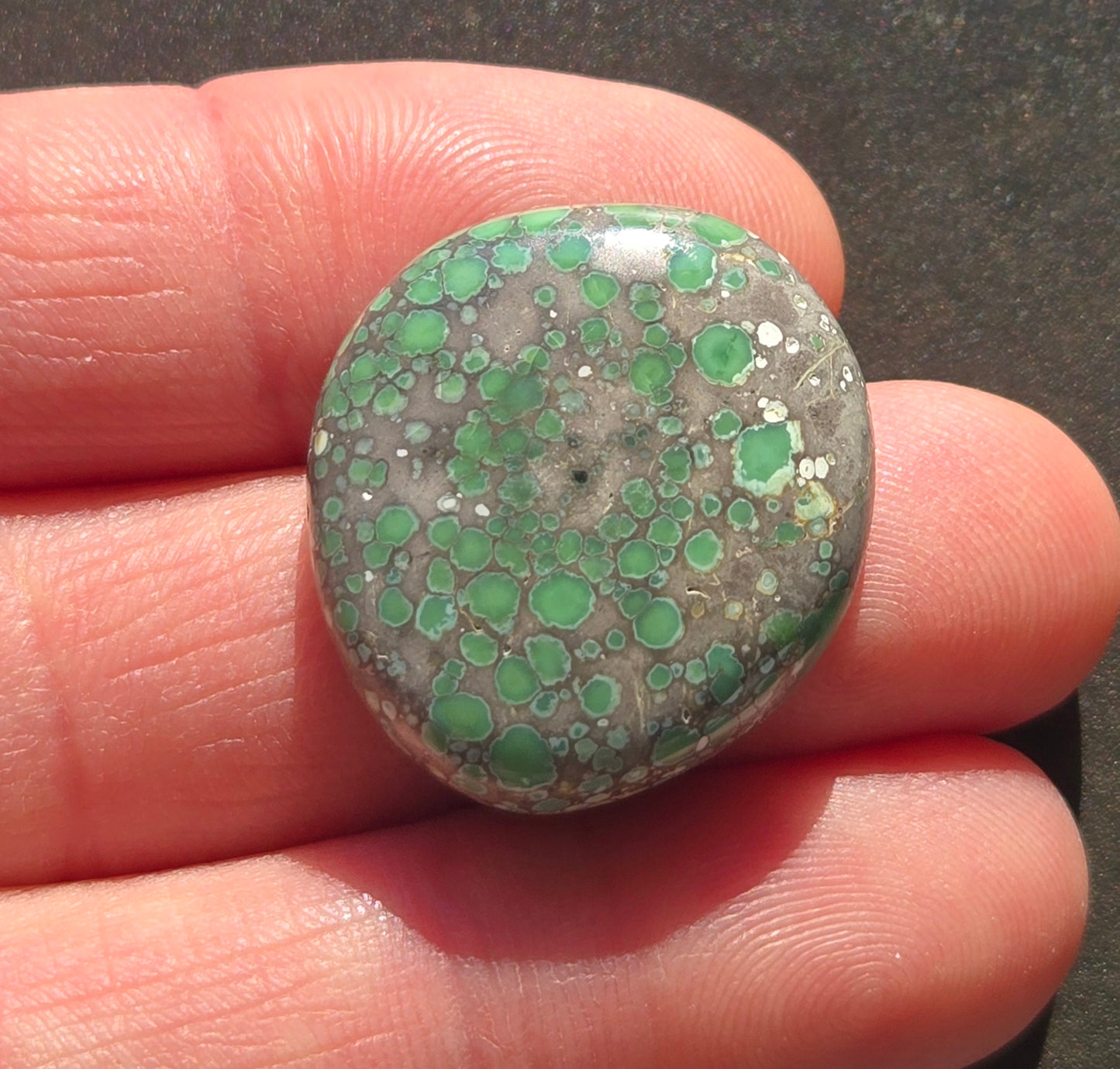 Turtleback Variscite Cabochon