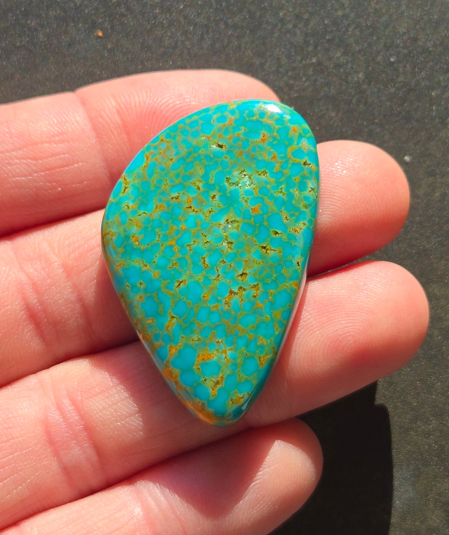AAA Turquoise Mountain Cabochon