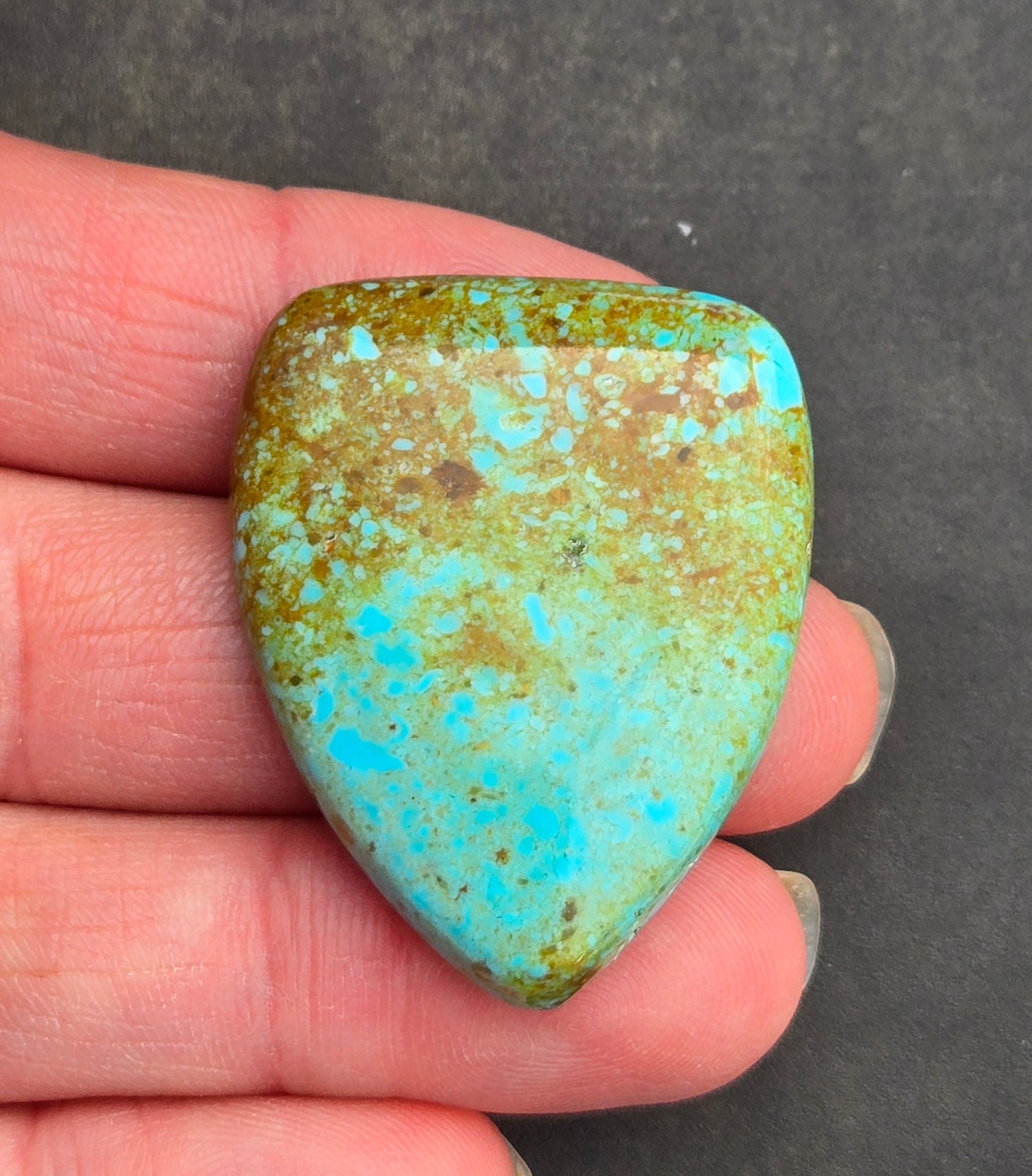 Patagonia Turquoise Cabochon
