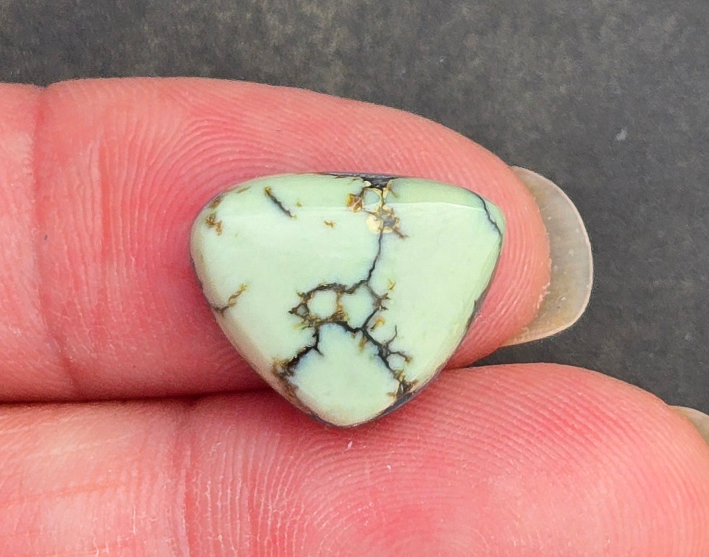 Saguaro Variscite Cabochon