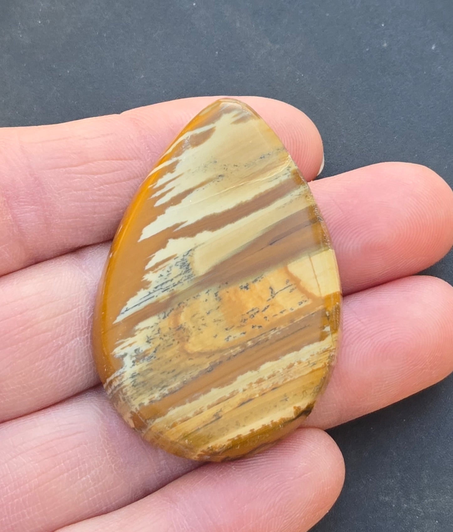 Owyhee Jasper Cabochon
