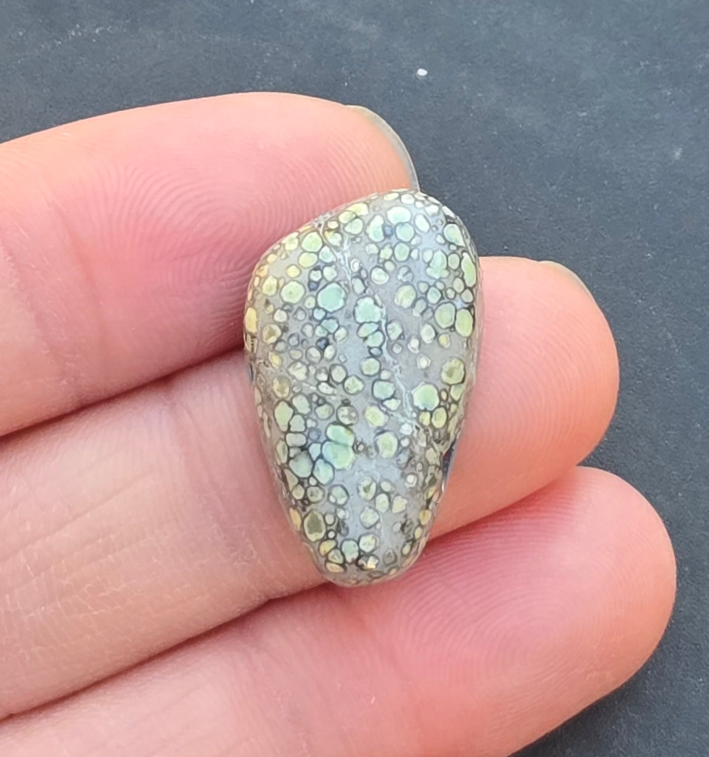 Desert Bloom Variscite Cabochon