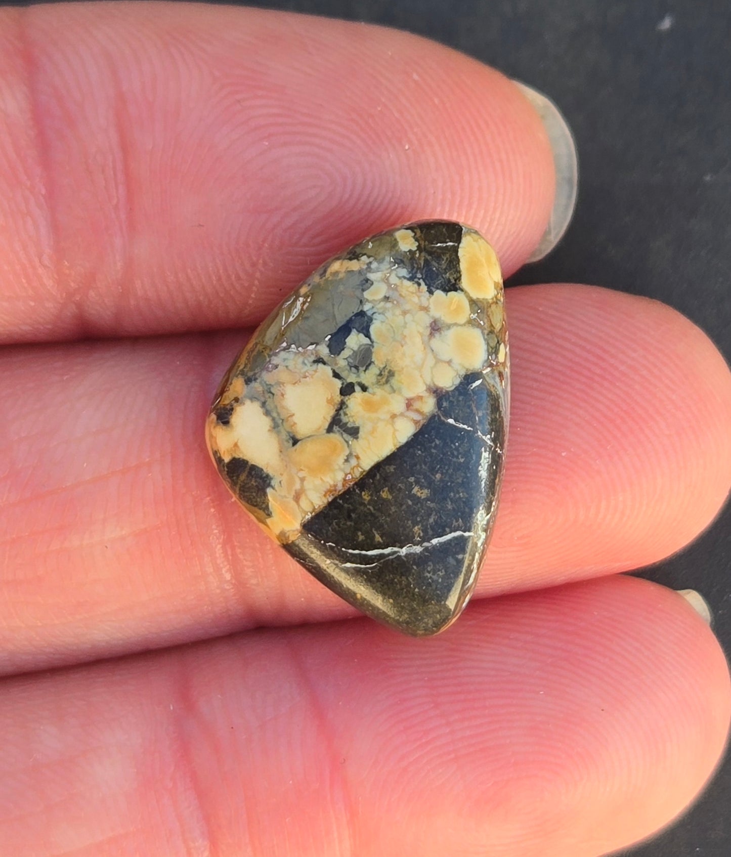 Aloe Variscite Cabochon