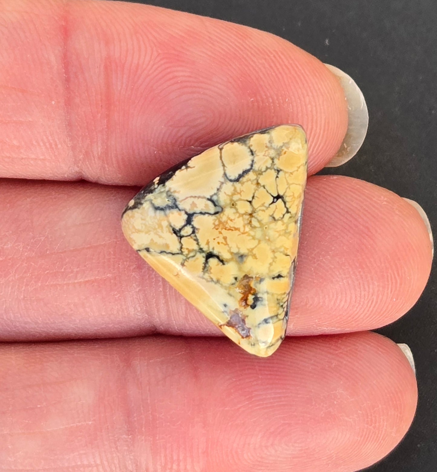 Aloe Variscite Cabochon