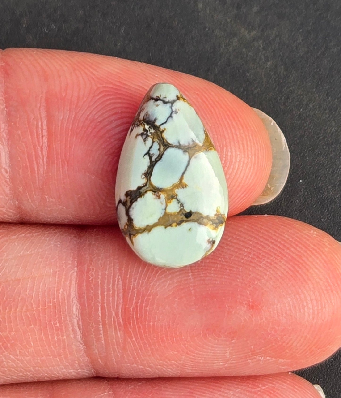 Saguaro Variscite Cabochon