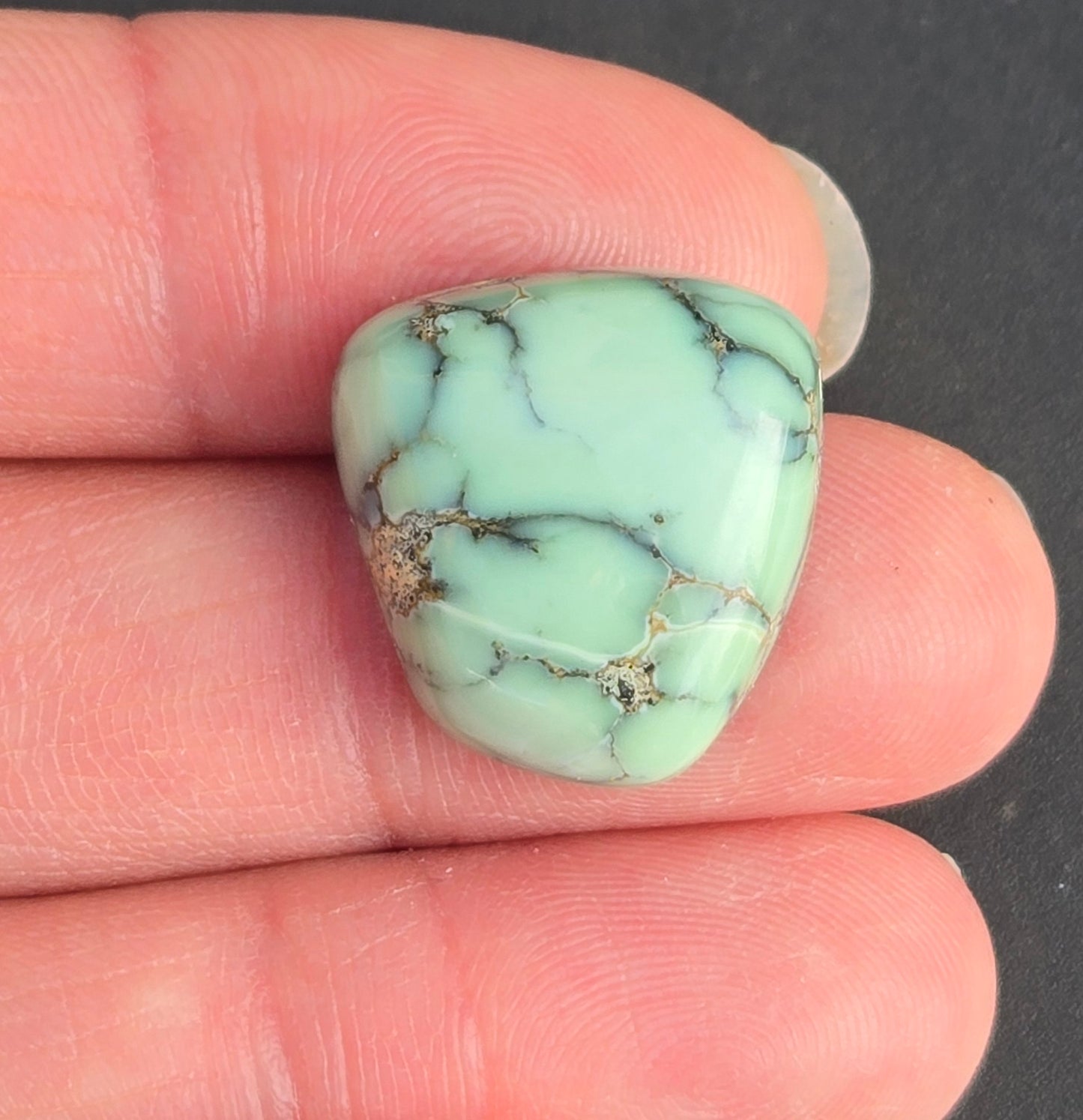 Desert Bloom Variscite Cabochon