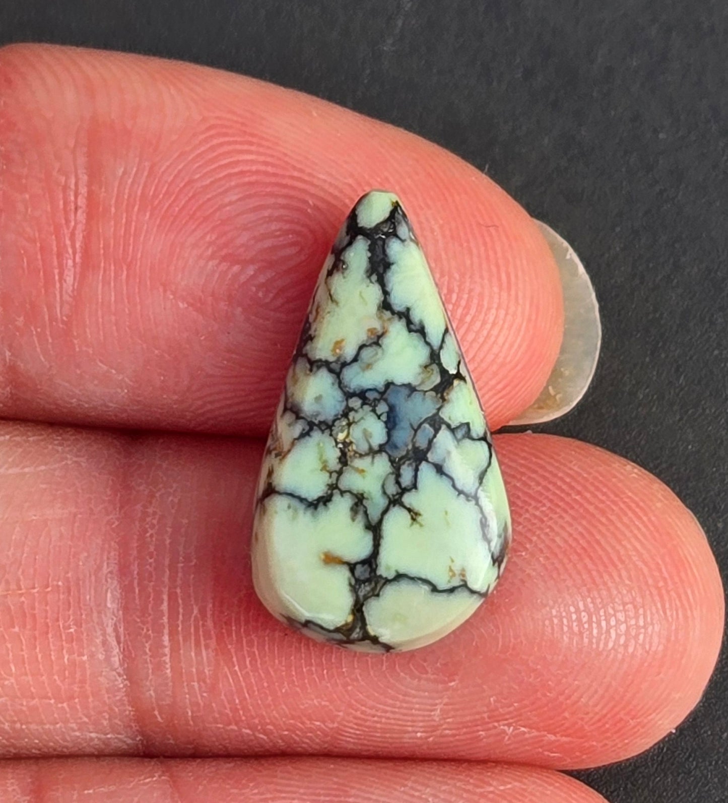 Saguaro Variscite Cabochon