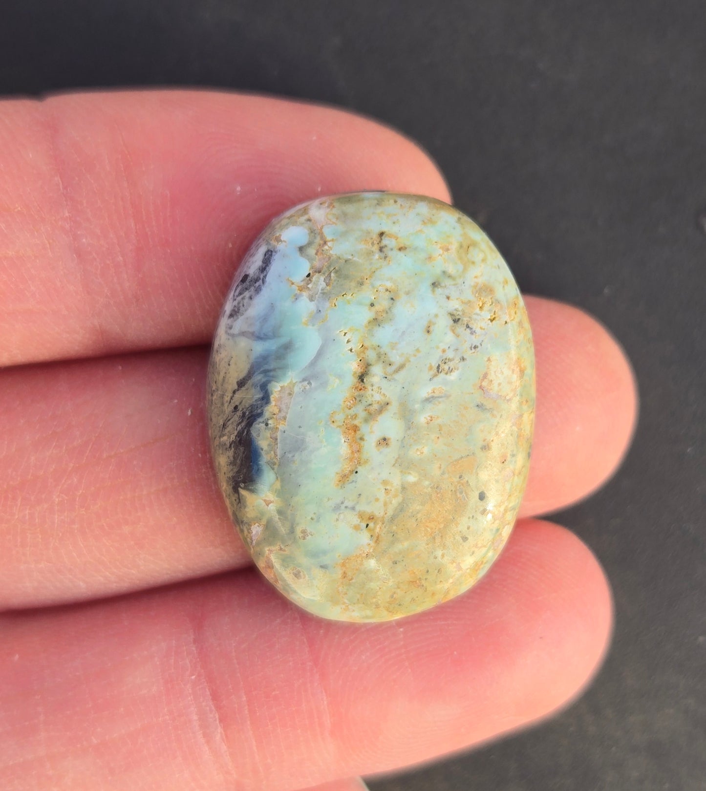 Prince Mine Variscite Cabochon