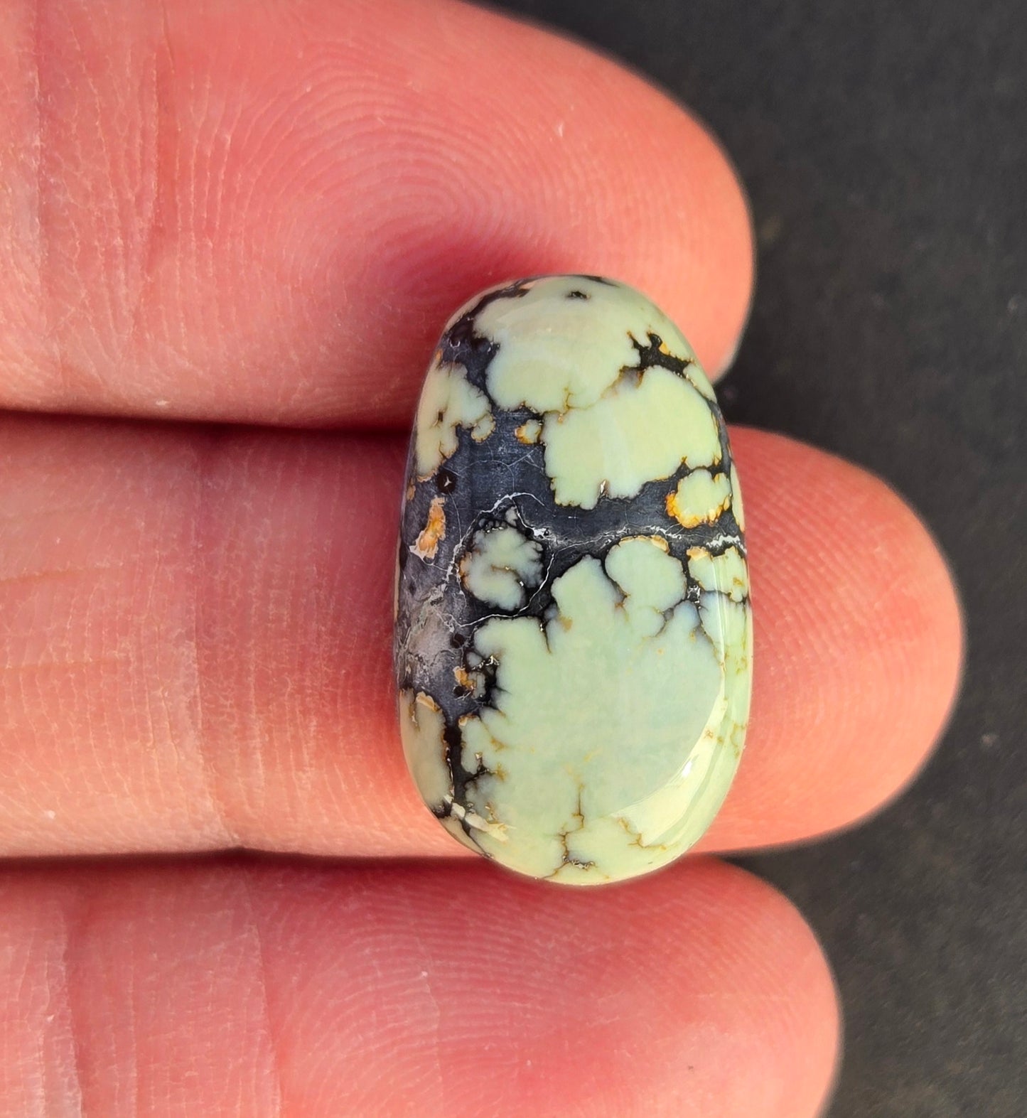 Saguaro Variscite Cabochon