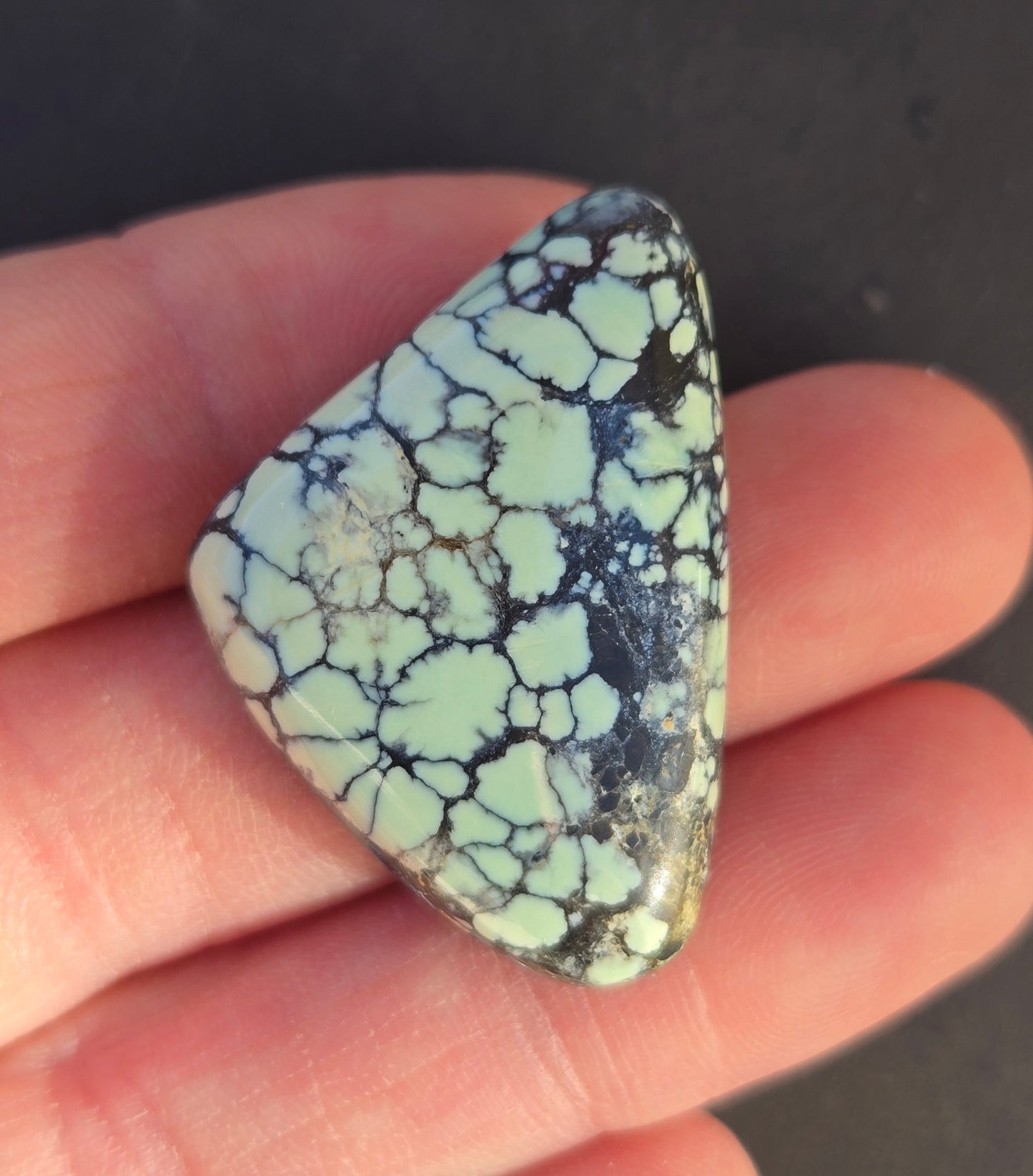Prince Mine Variscite Cabochon