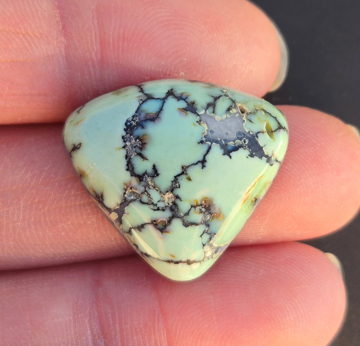 Saguaro Variscite Cabochon
