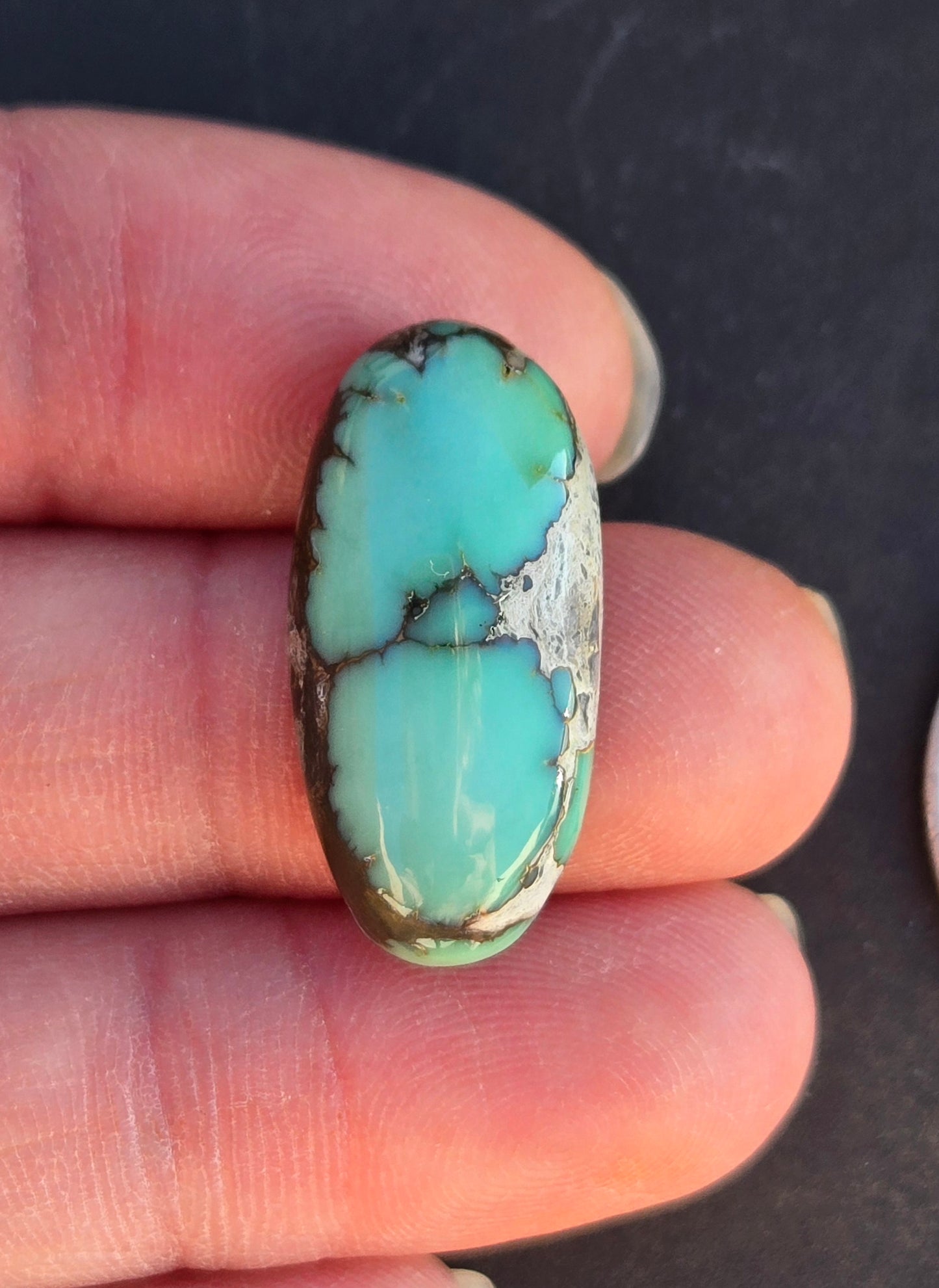 Blue Boy Variscite Cabochon