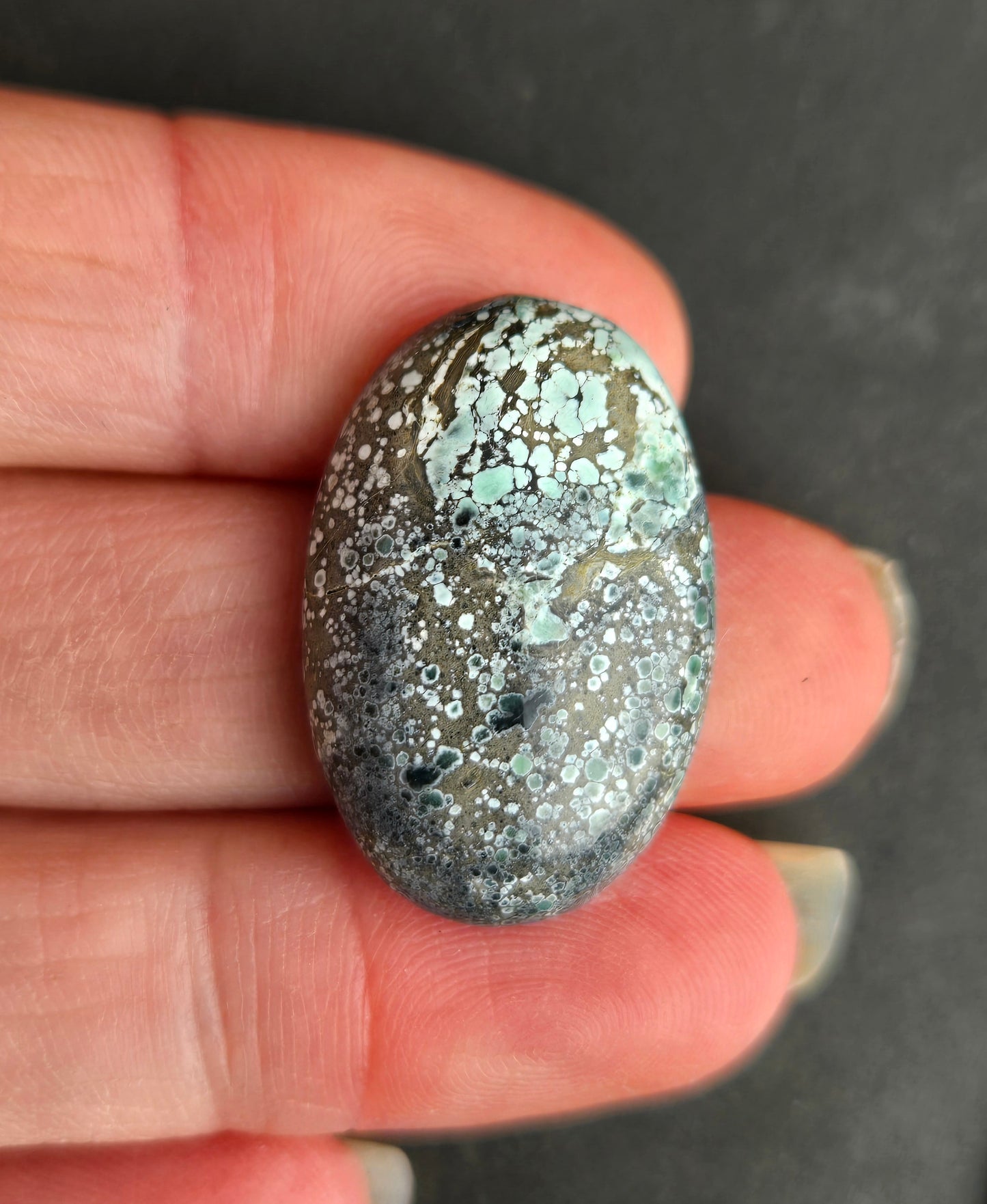 Turtleback Variscite Cabochon