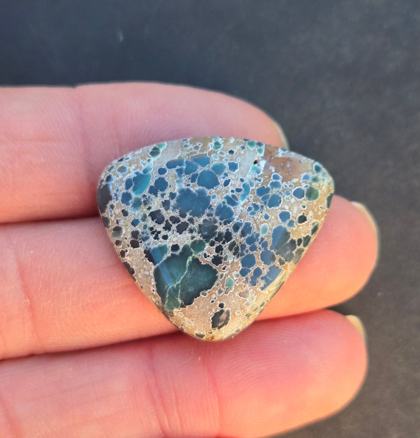 Turtleback Variscite Cabochon