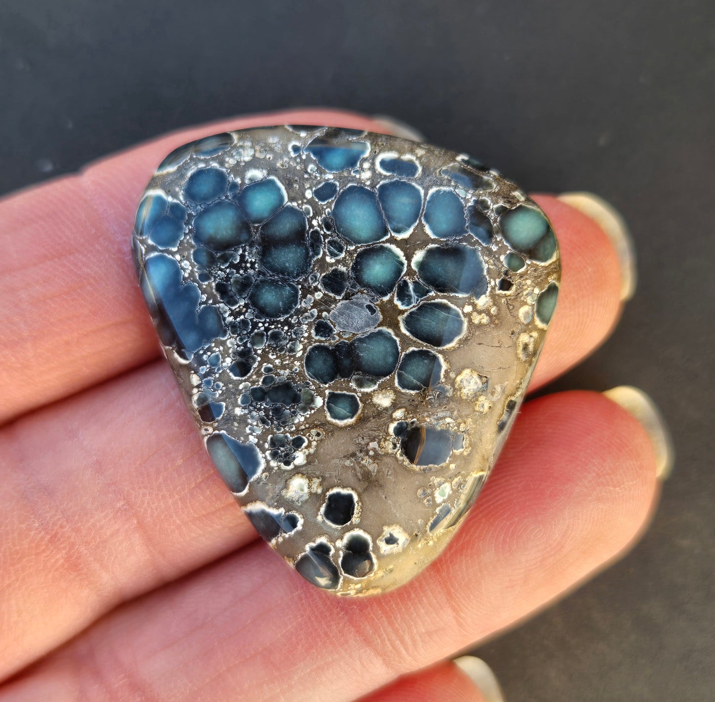 Antelope Hill Variscite Cabochon