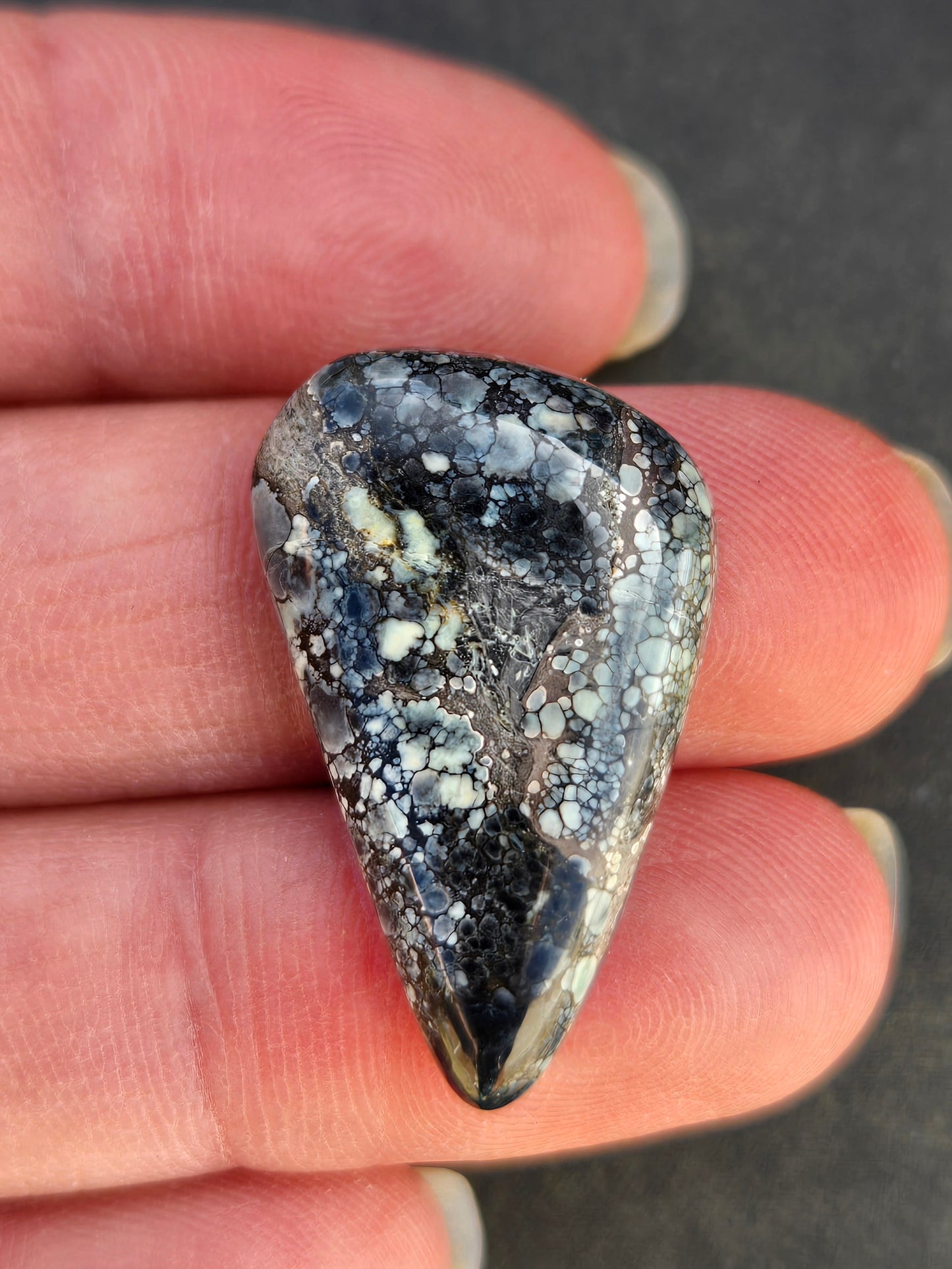 Desert Bloom Variscite Cabochon