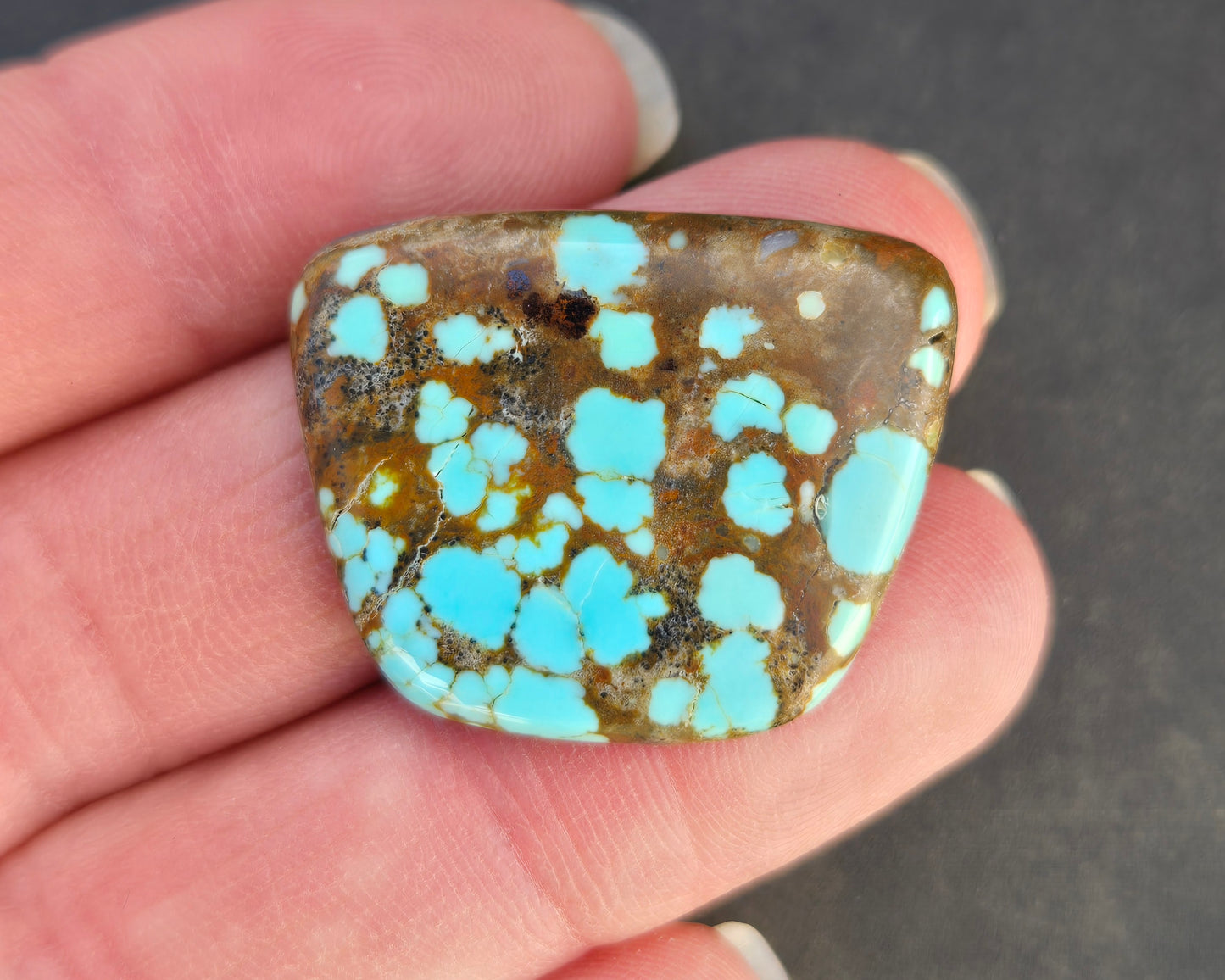 Number 8 Mine Turquoise Cabochon