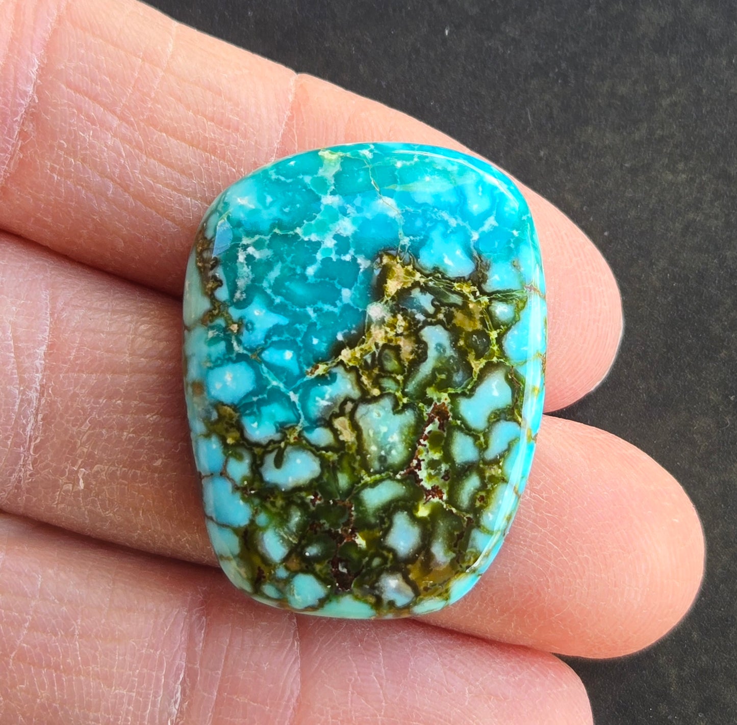 AAA Kingman Turquoise Mountain Red Web Cabochon