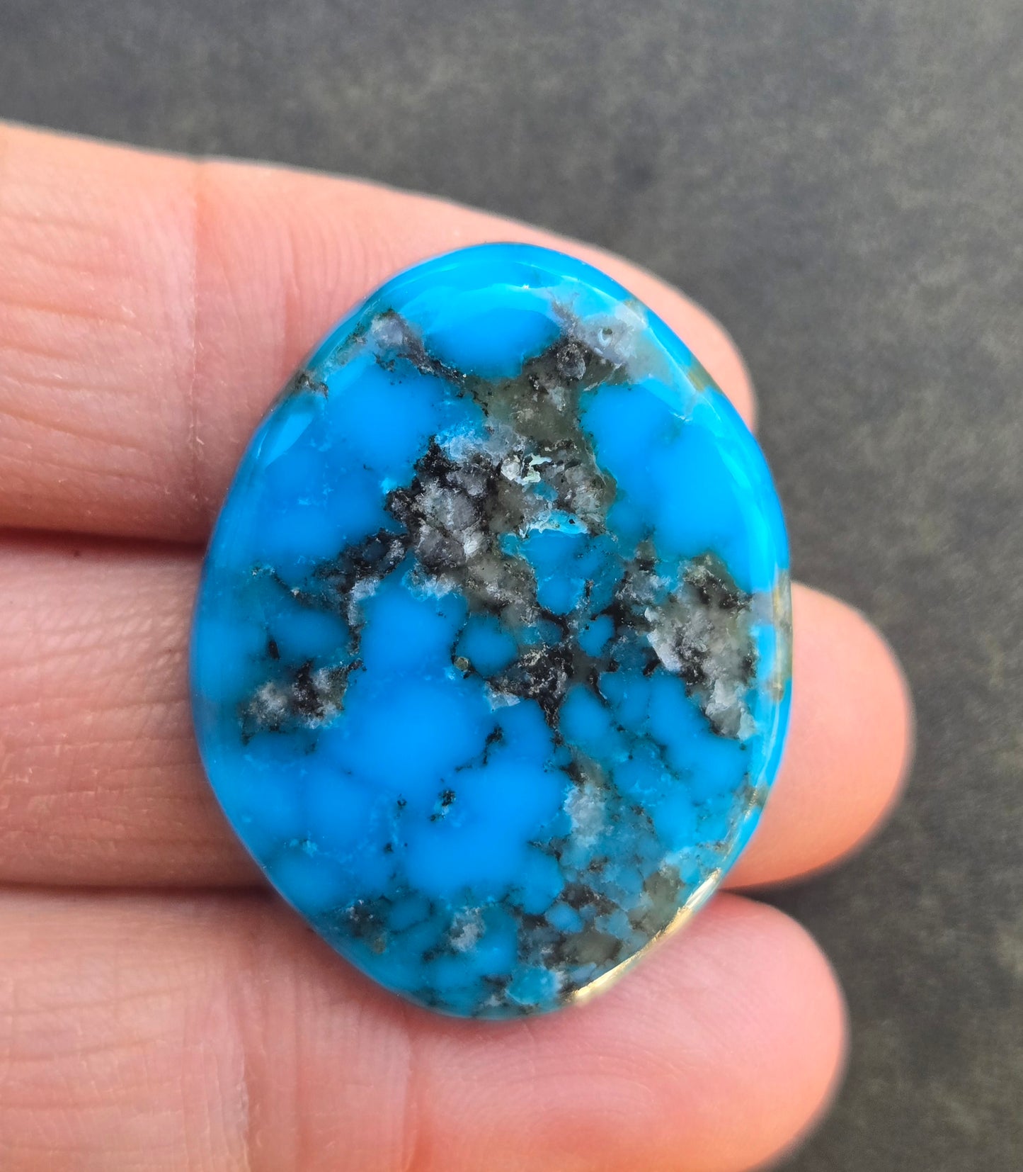 Ithaca Peak Turquoise Cabochon