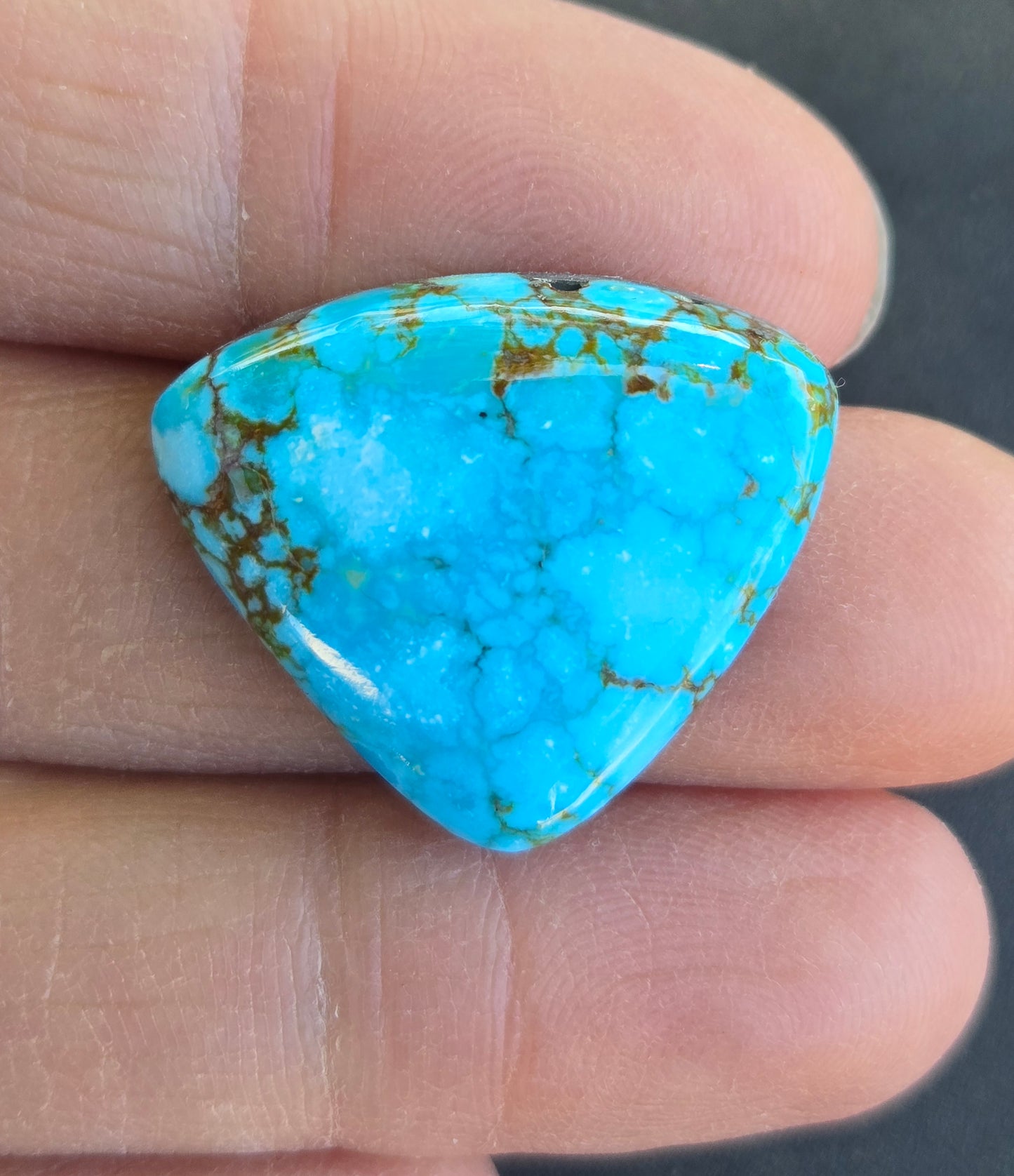 AAA Kingman Turquoise Mountain Red Web Cabochon