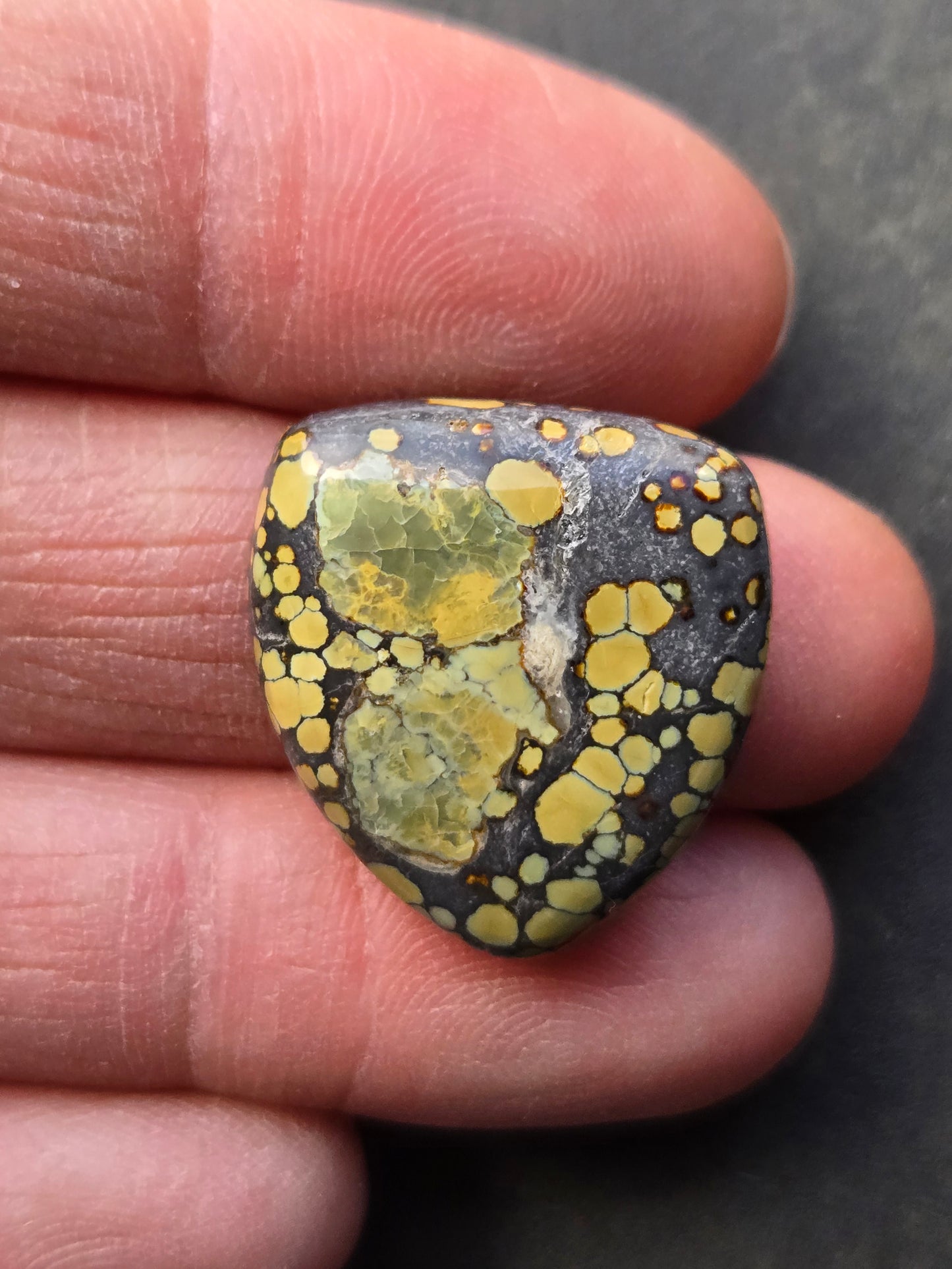Saguaro Variscite Cabochon