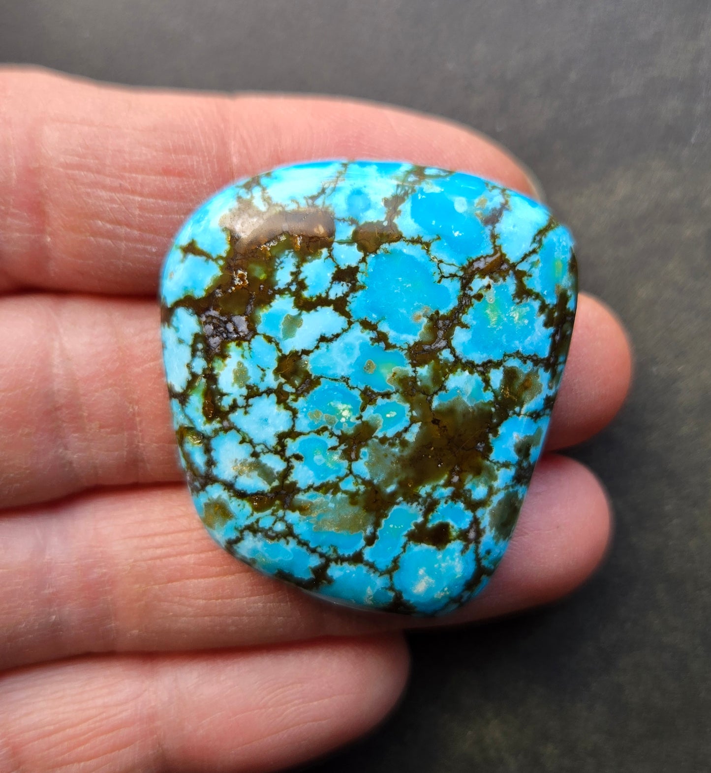 AAA Kingman Turquoise Mountain Red Web Cabochon