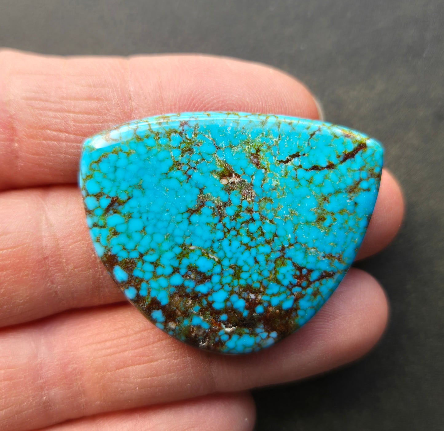 AAA Kingman Turquoise Mountain Red Web Cabochon