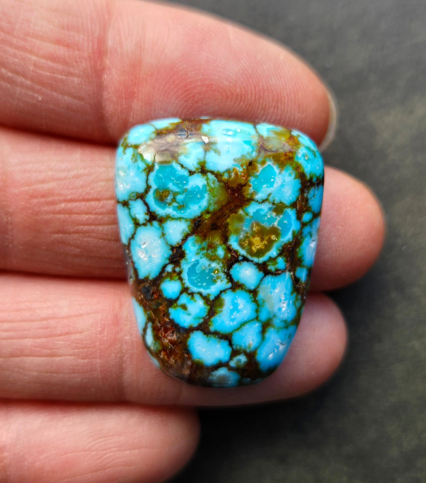 AAA Kingman Turquoise Mountain Red Web Cabochon