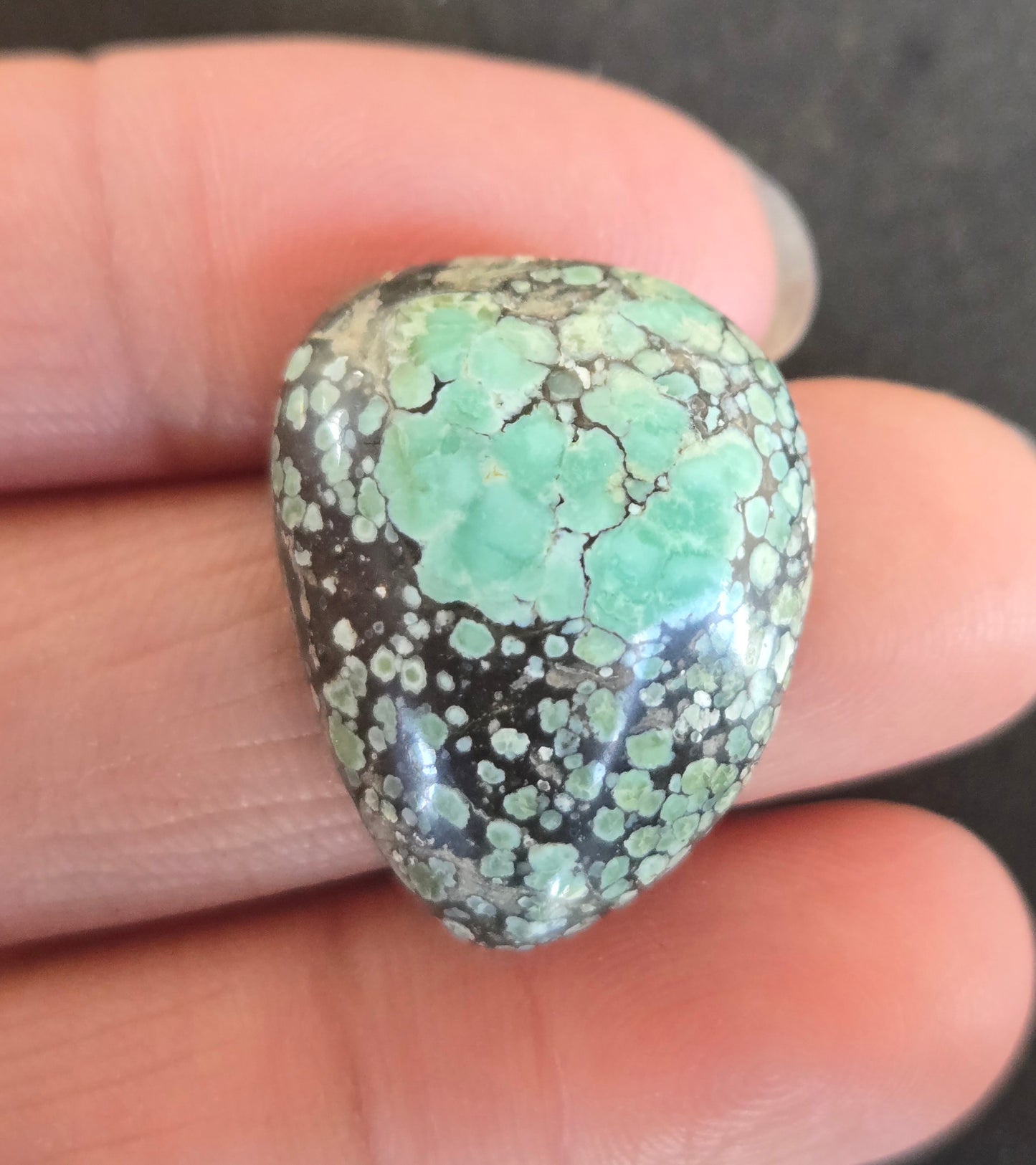 Turtleback Variscite Cabochon