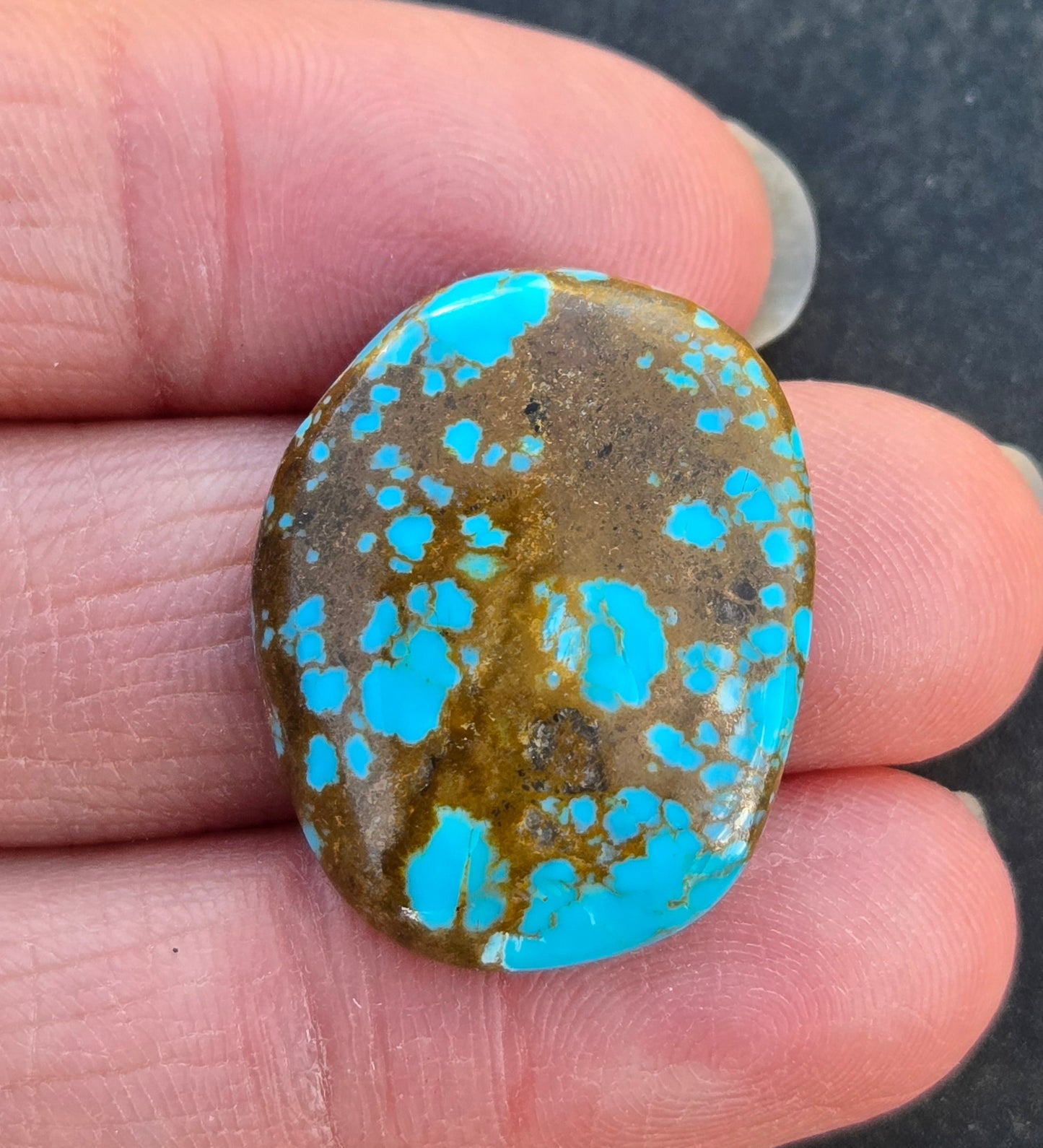 Alpine Village Turquoise Cabochon