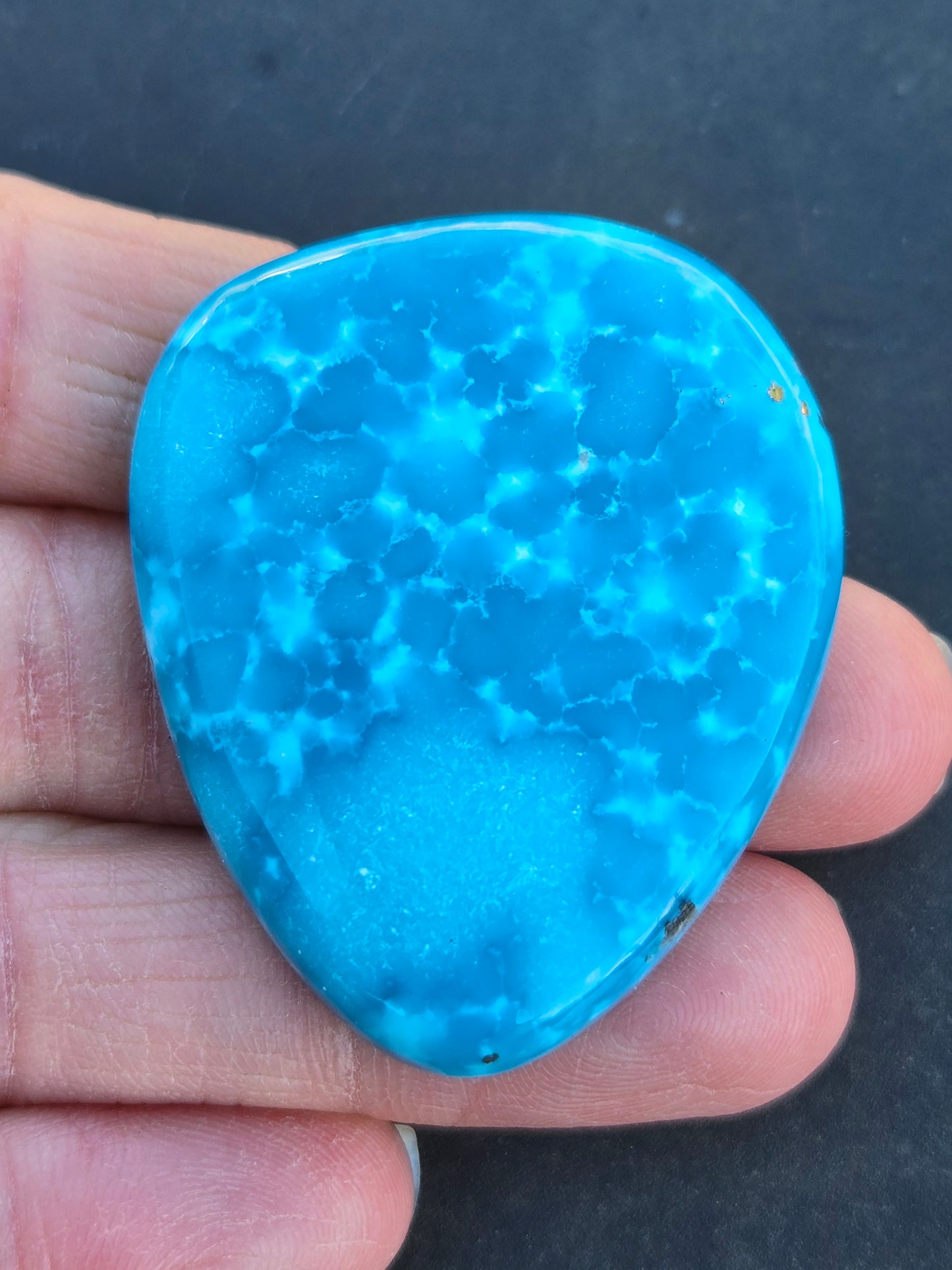 Nacozari Turquoise Cabochon